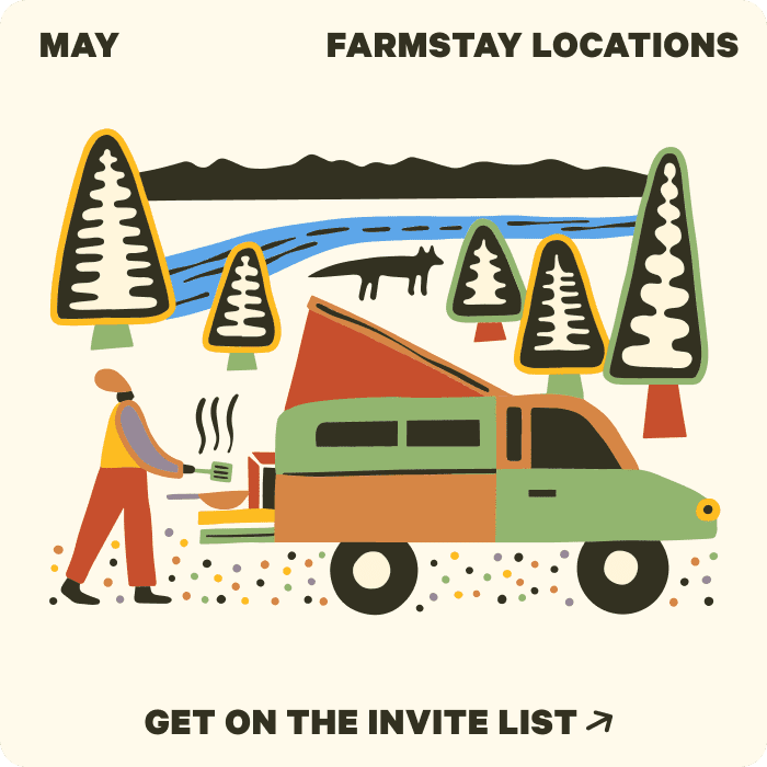 hand drawing of someone cooking out of the back of their campervan in a forest