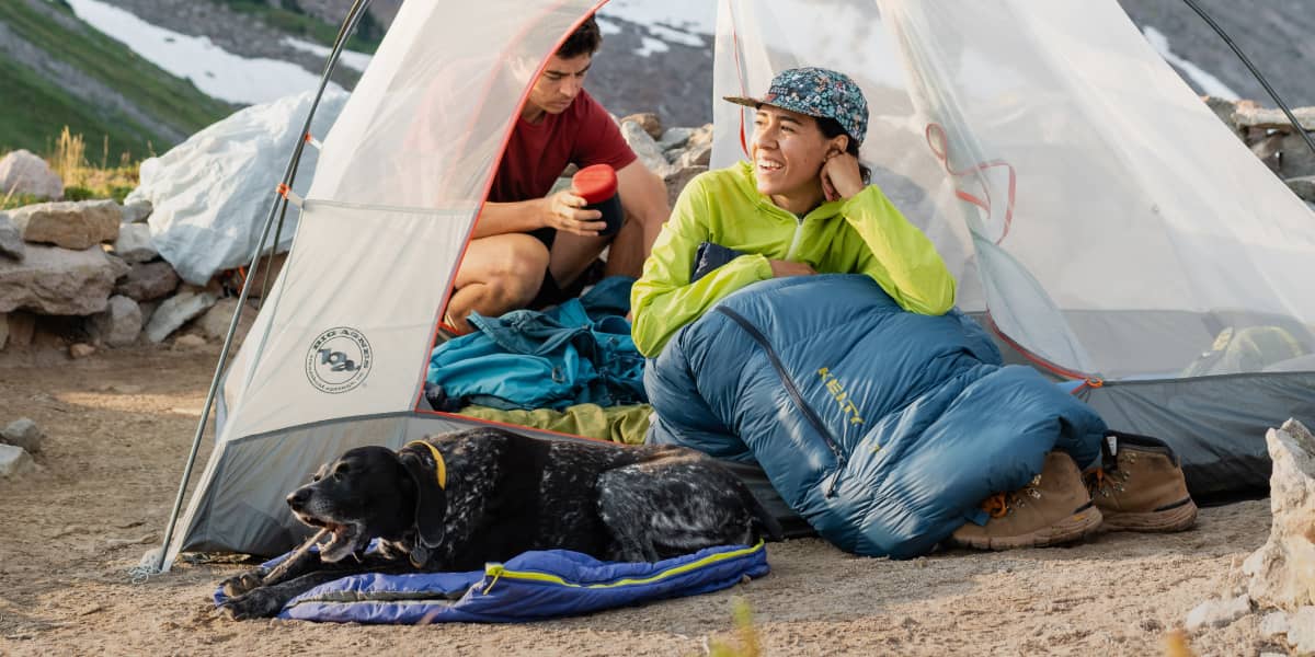 Explore the best off-leash friendly sites for your pup.
