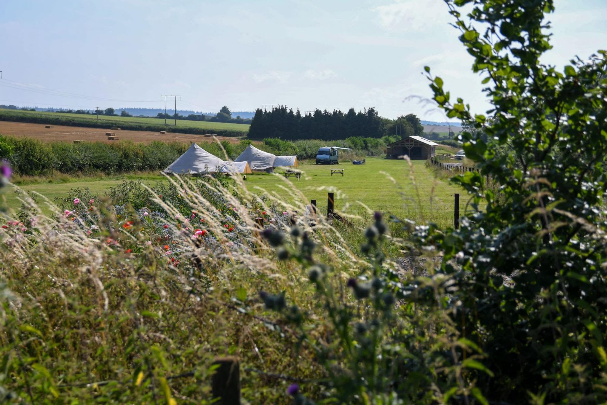 Marshwood Farm Camping