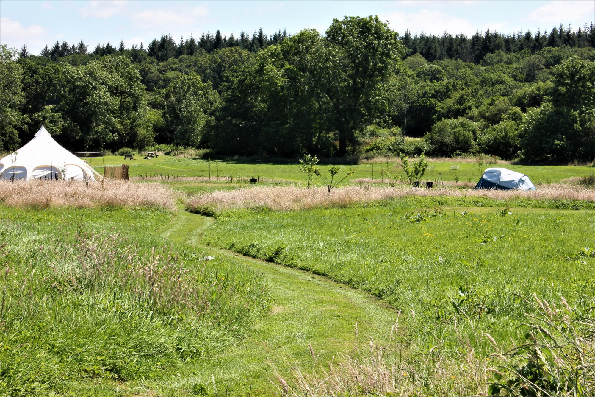 Ruby Country Camping