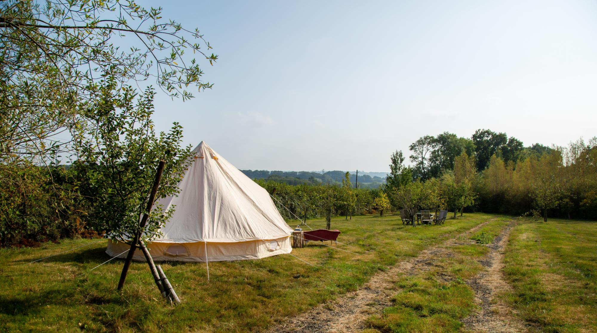 Downsview Vineyard