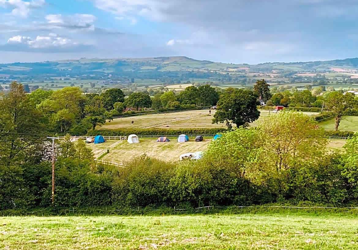 Hobby Farm