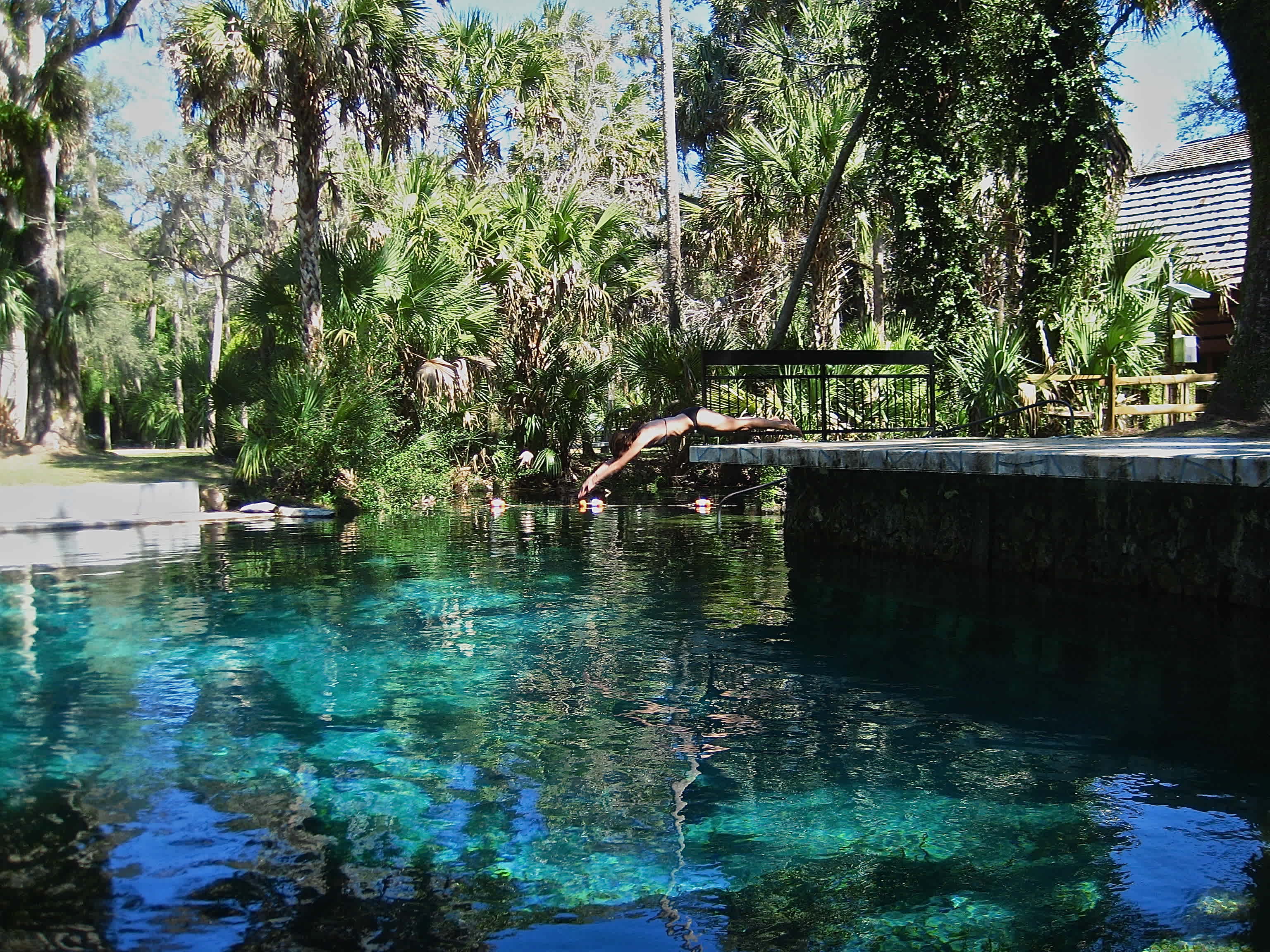Ocala National Forest