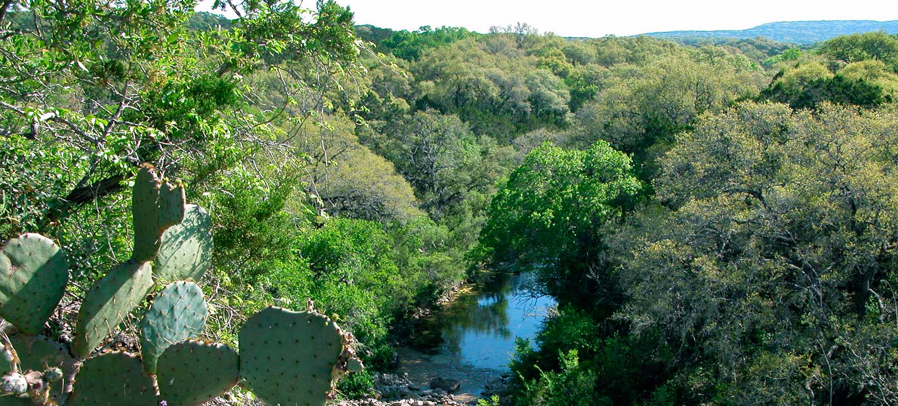 Government Canyon State Natural Area