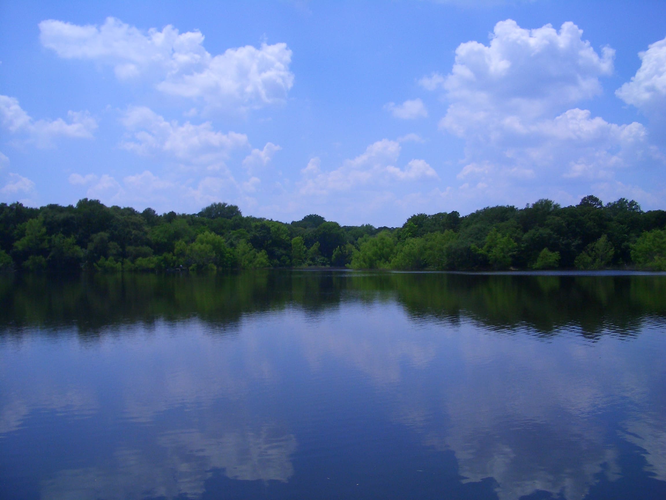 Buescher State Park