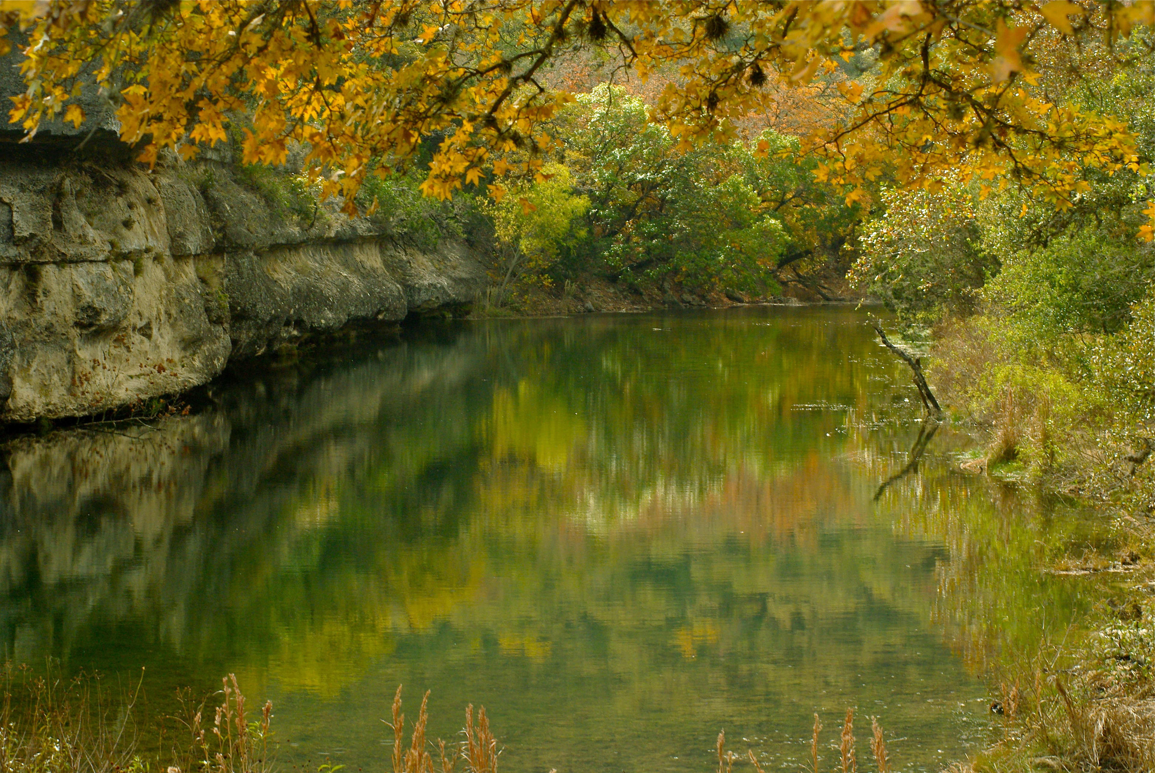 Lost Maples State Natural Area