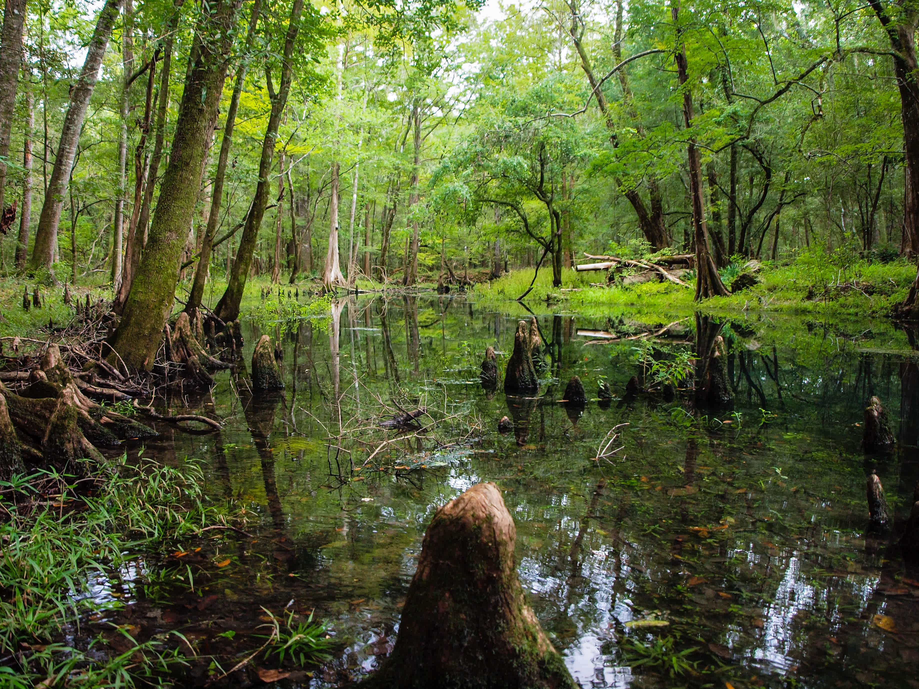 Florida Caverns State Park