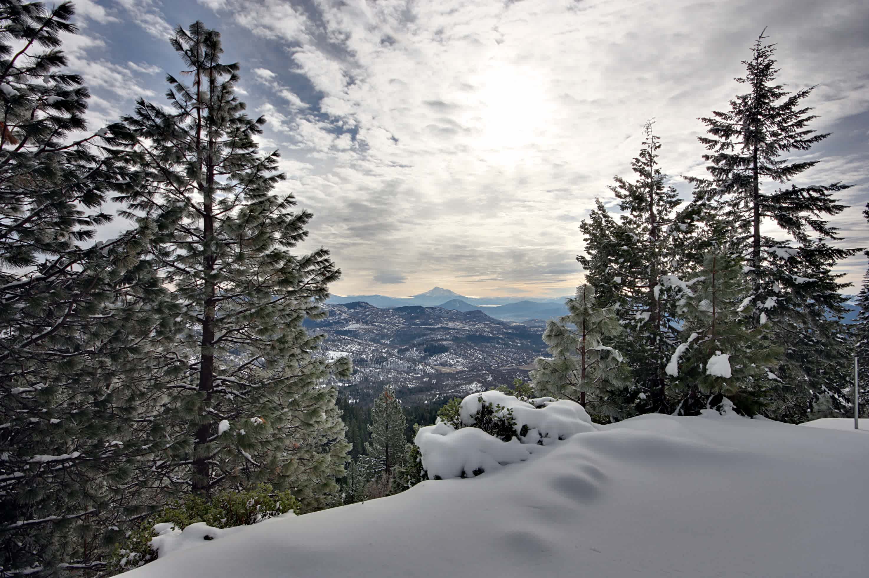 Rogue-River Siskiyou National Forest
