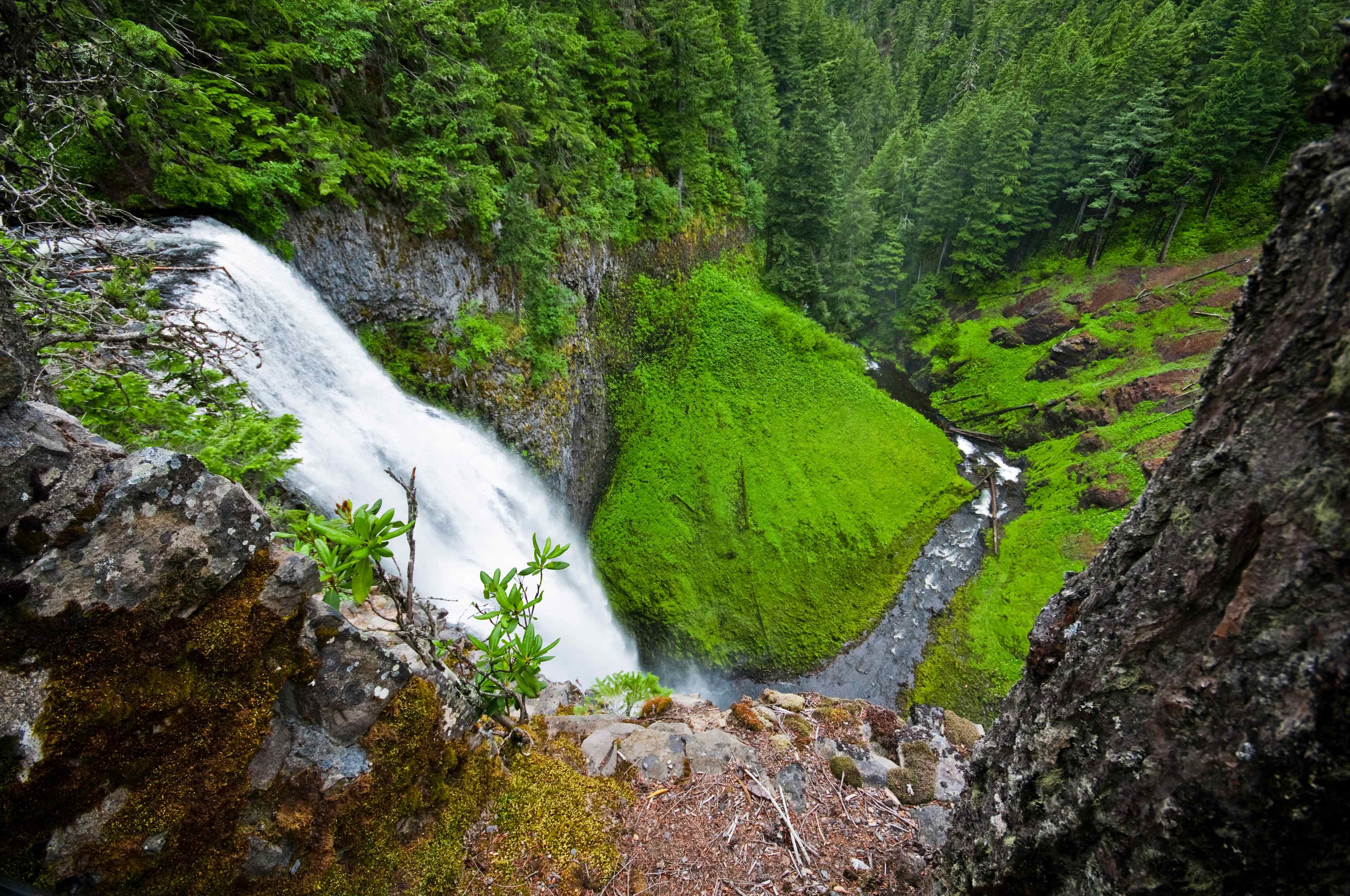 Willamette National Forest