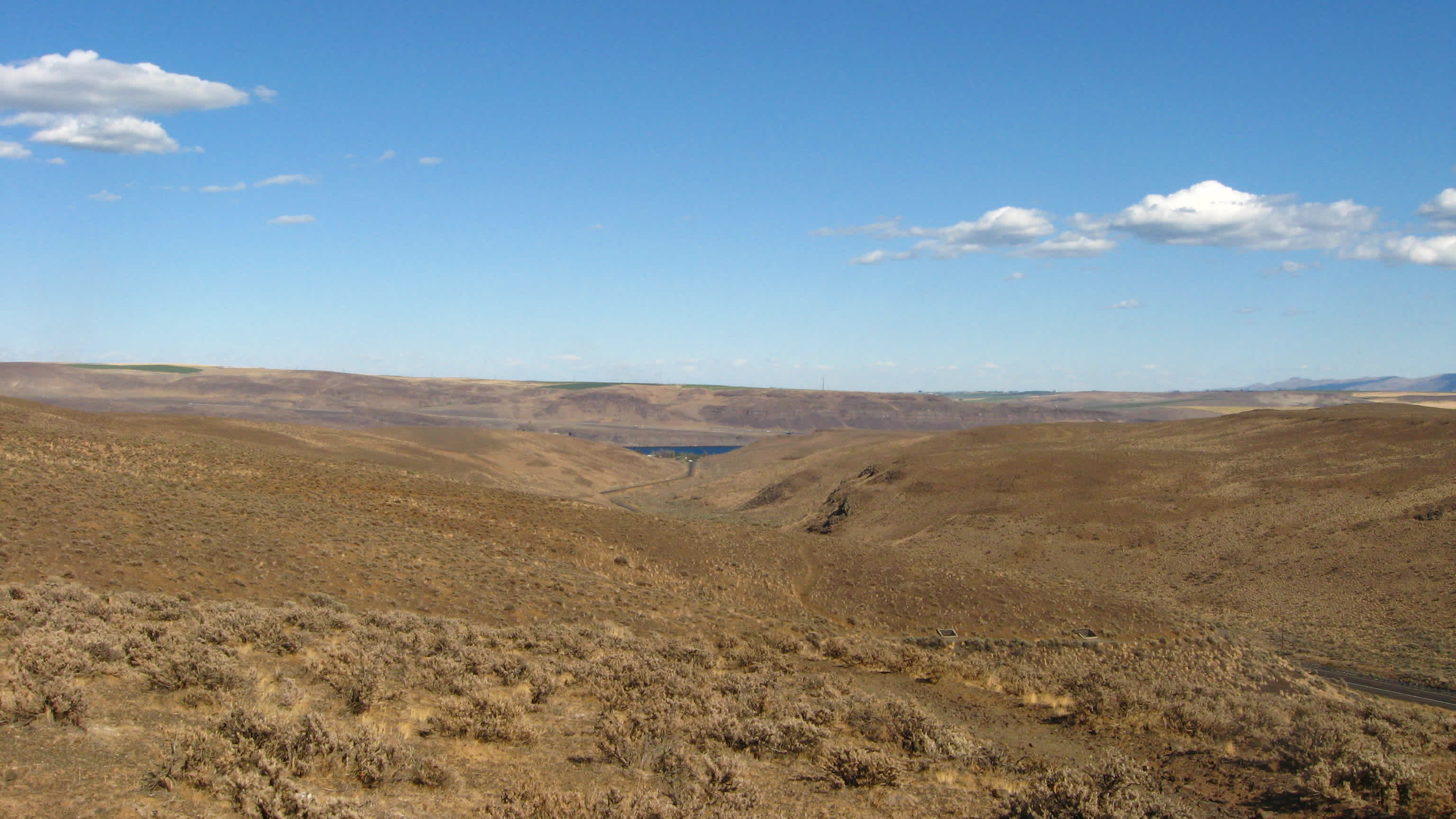 Ginkgo Petrified Forest State Park