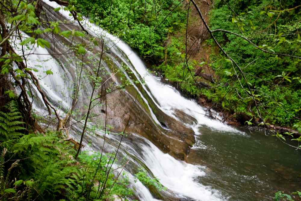 Lake Sylvia State Park