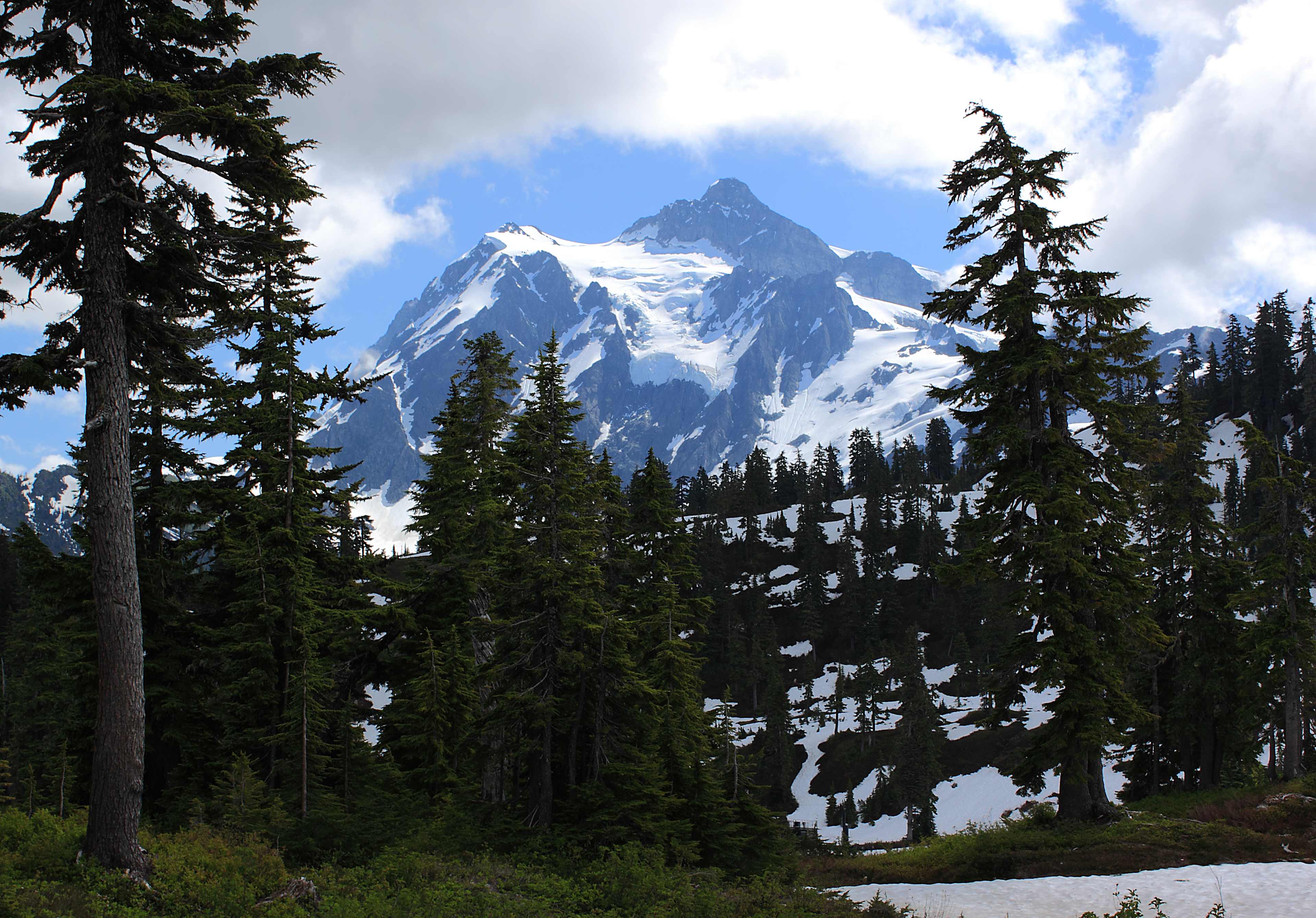 Mount Baker-Snoqualmie National Forest