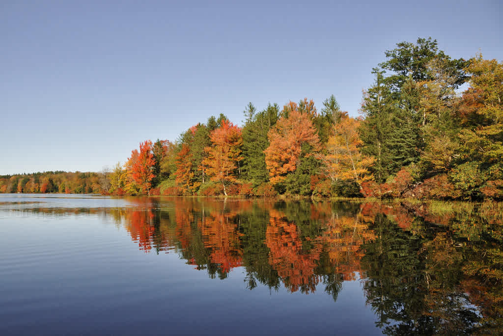 Promised Land State Park