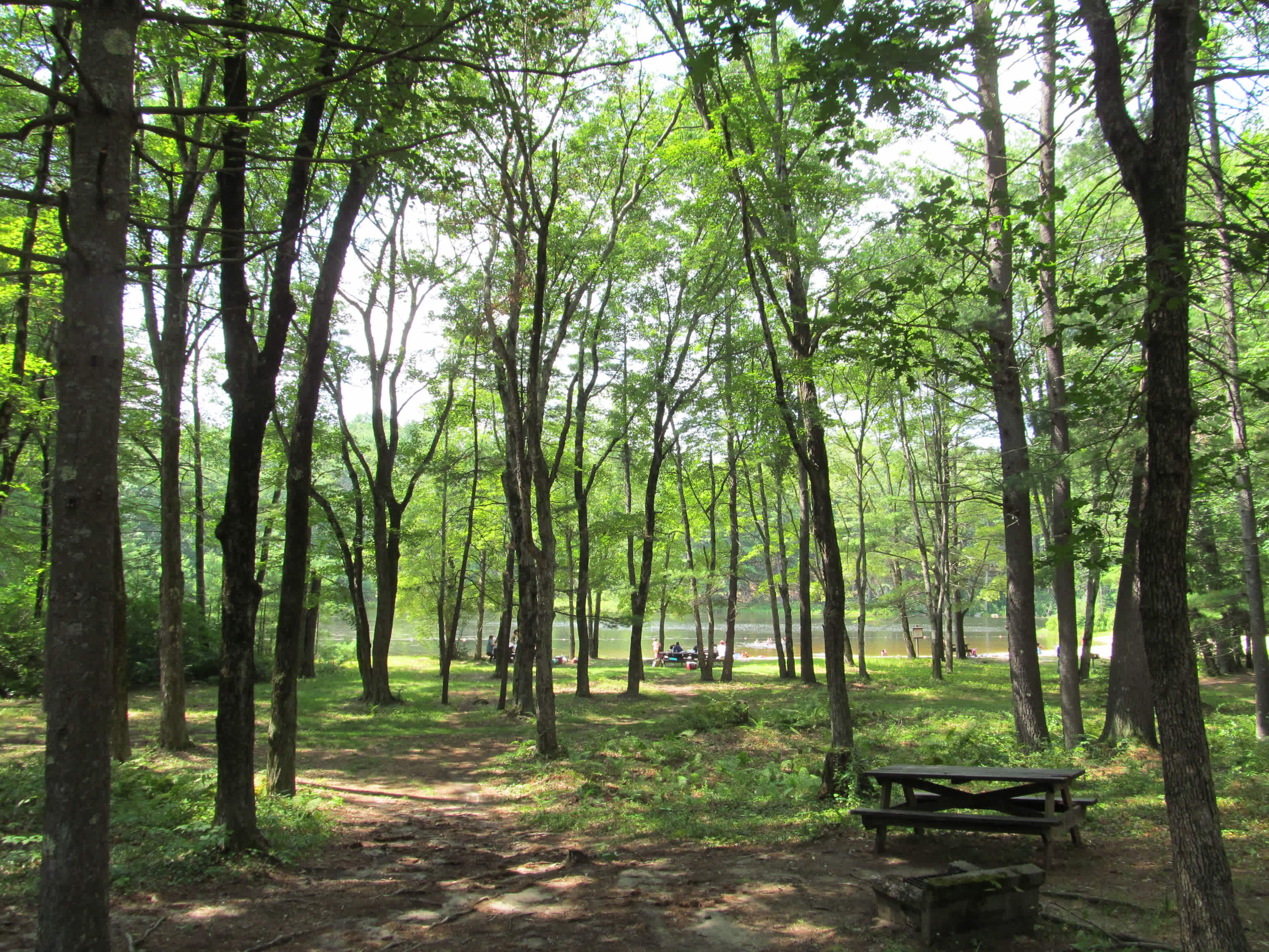 Pearl Hill State Park