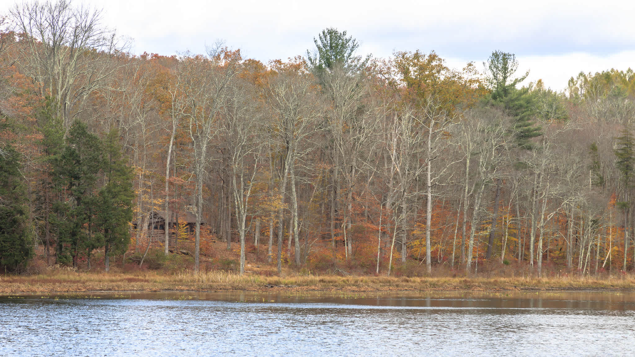 Stokes State Forest