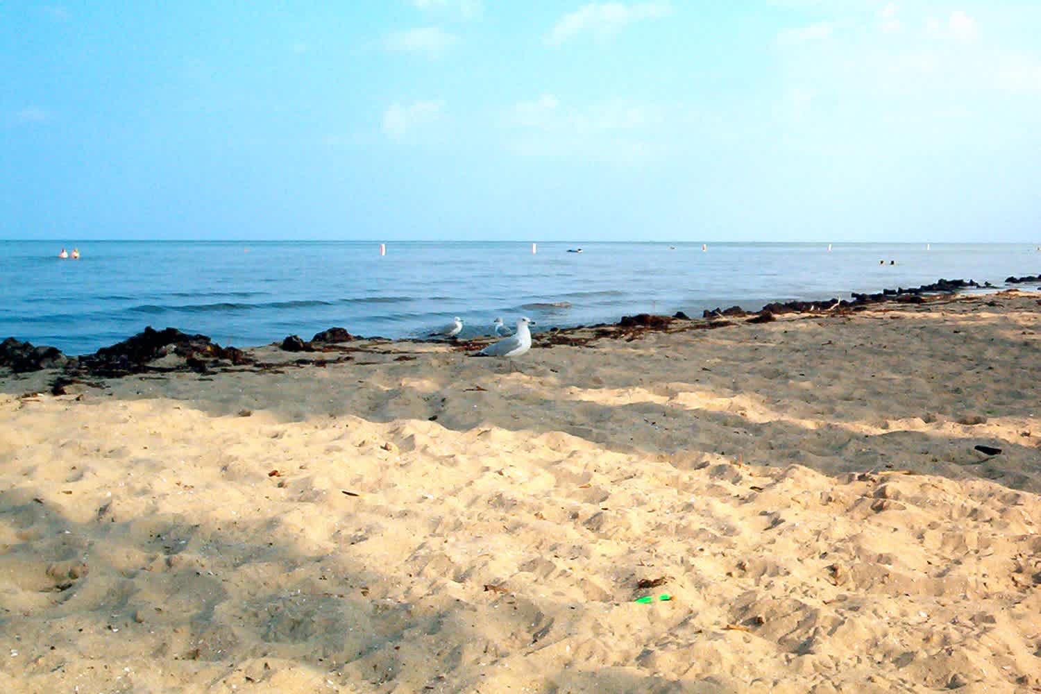 Sterling State Park