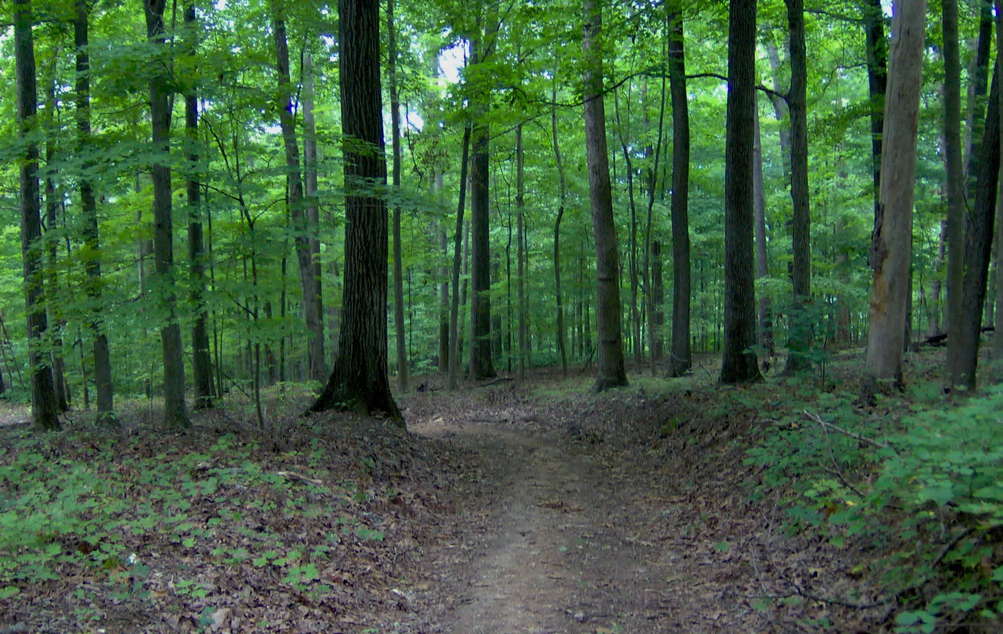 Norris Dam State Park
