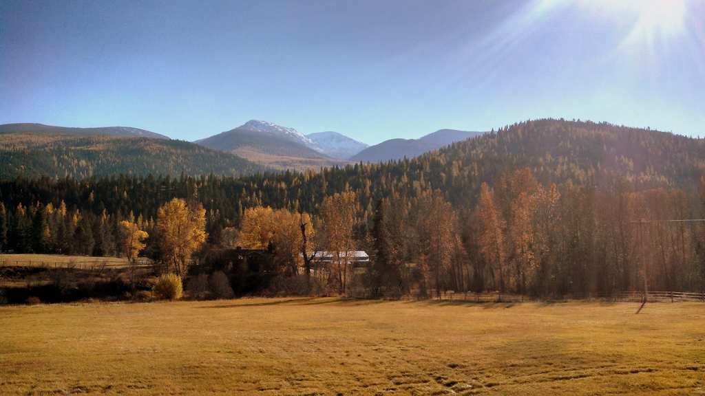 Lolo National Forest