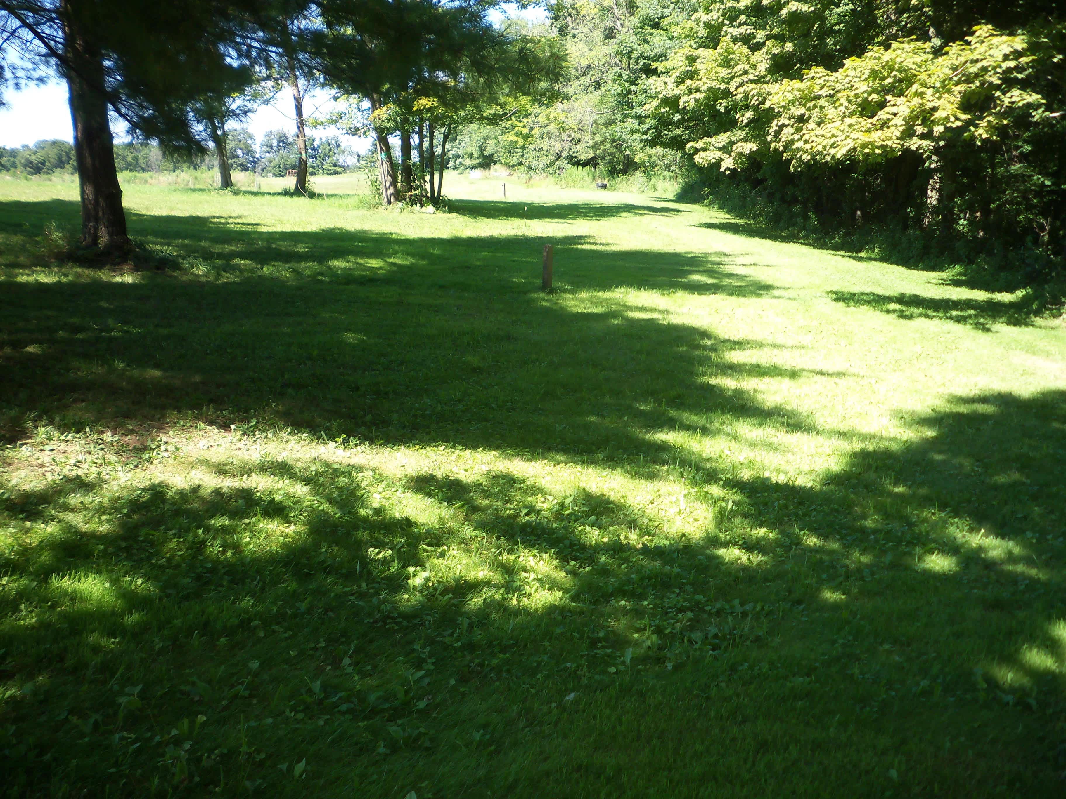Campsites 29-30 are mostly shaded by the pines. Deer & turkey travel thru here. Located at the back corner near the woods & 34 acres of hiking trails.