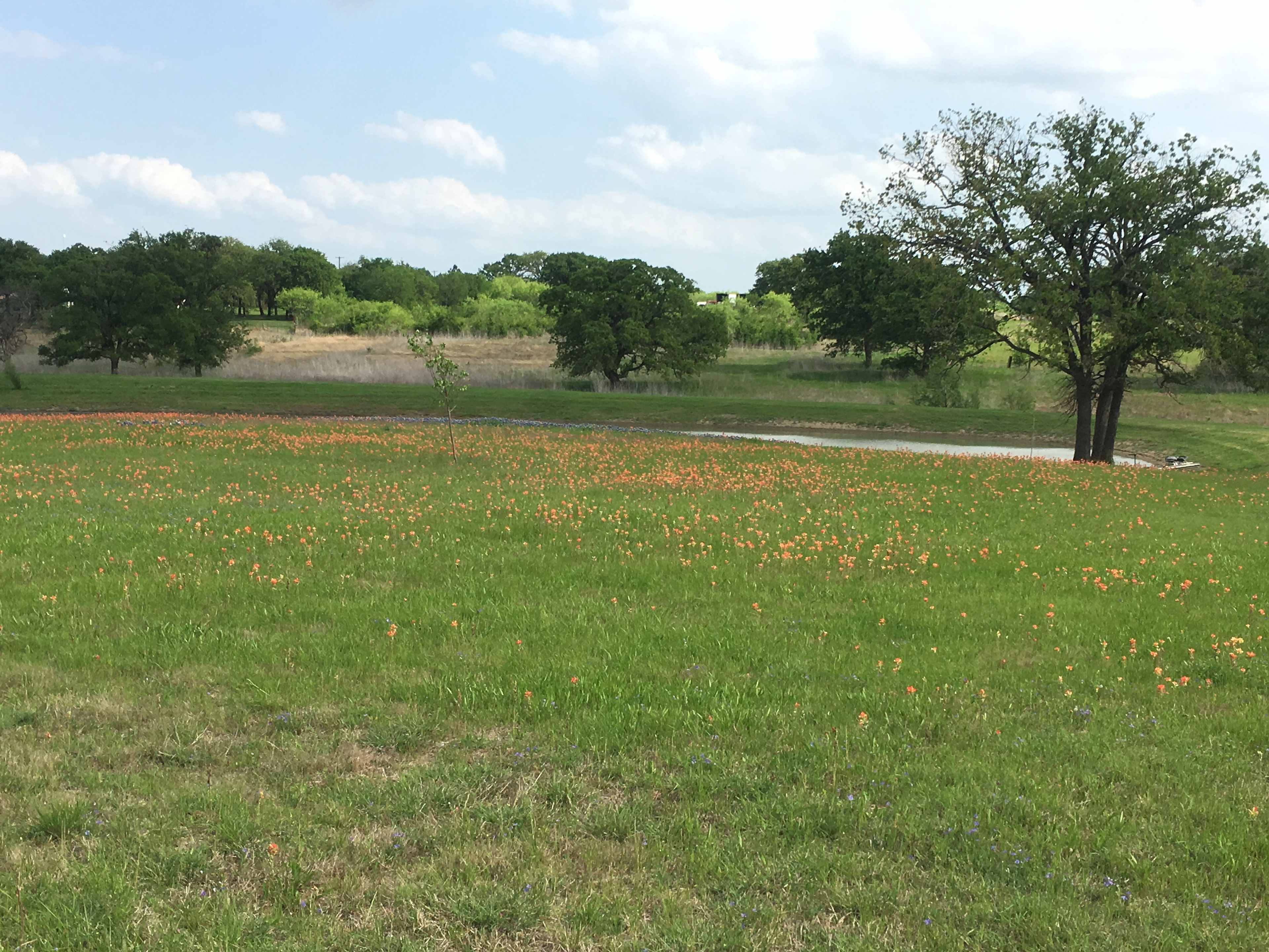 Coyote Creek Farm