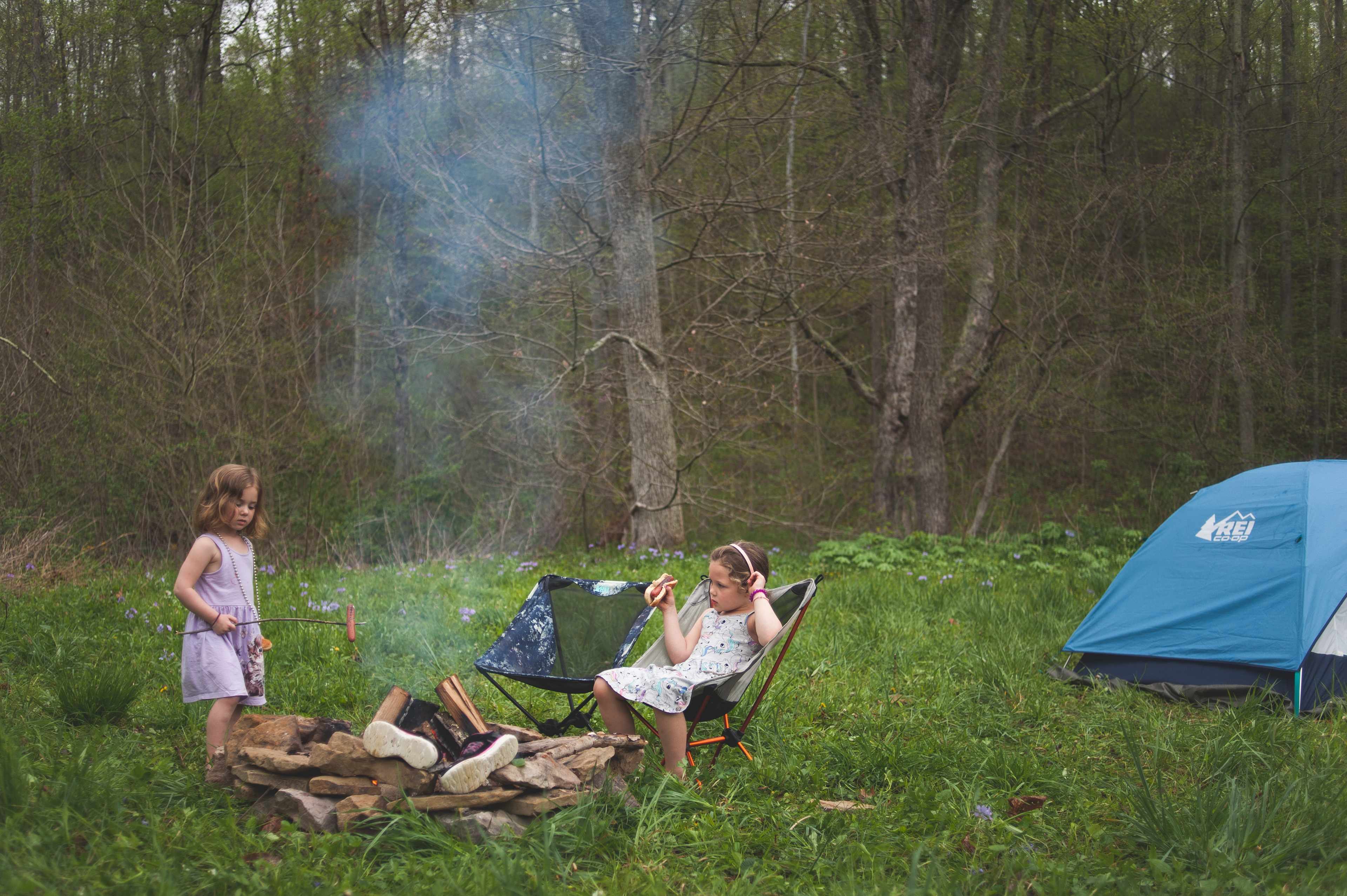 Hot dogs and s'mores by the fire