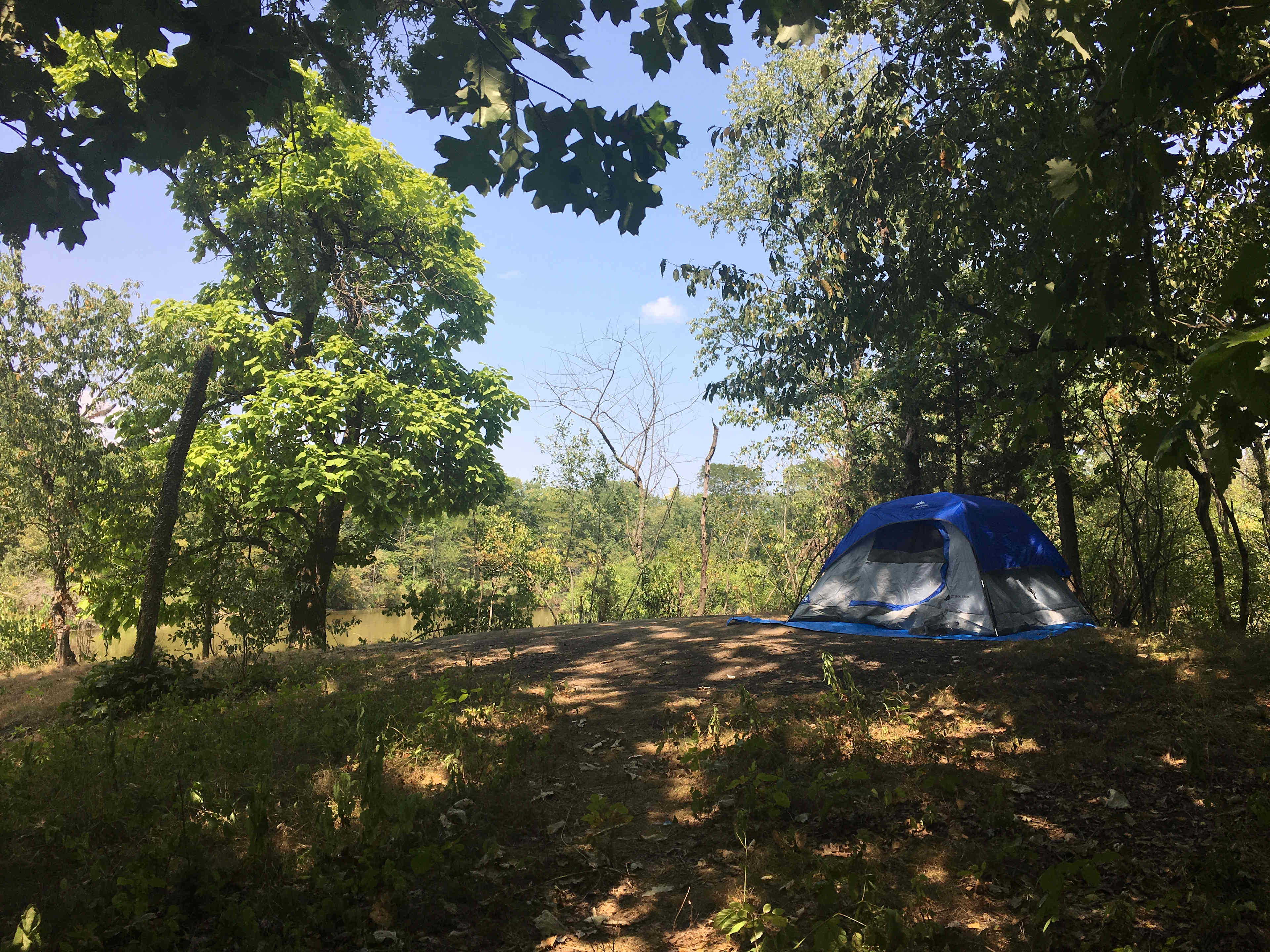 East Woods on the IL River