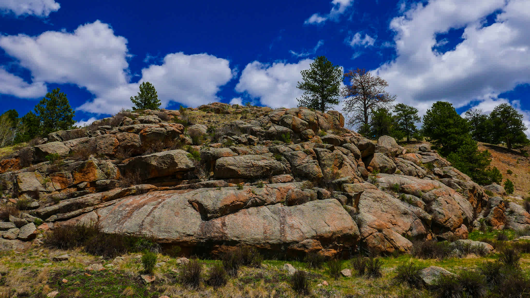 Florissant Fossil Beds National Monument
