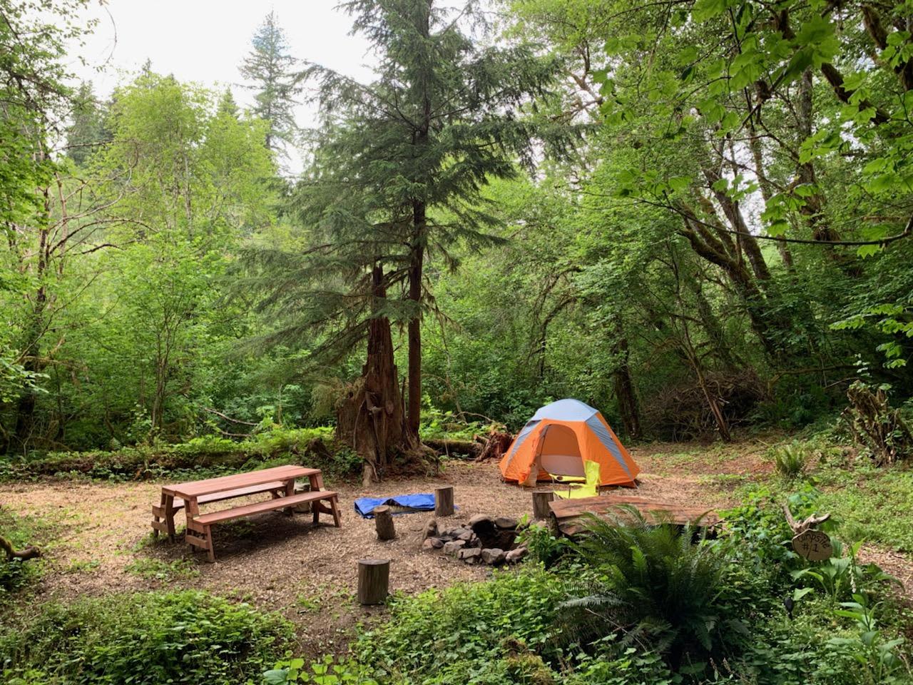 Campsite#1 is now Much Larger!! Can accommodate 3-4 tents. Has a hammock, picnic bench and deep fire pit. It's nestled between two Bald Eagles nests. Short walk from parking area and closest to the big creek!