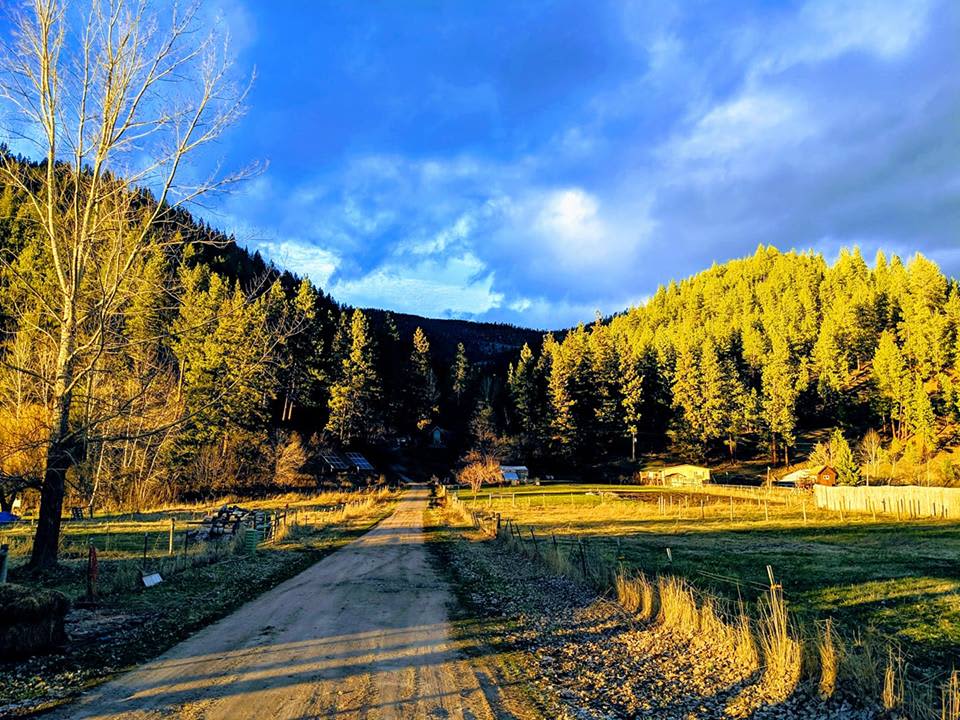 Rainbow Gulch Farm