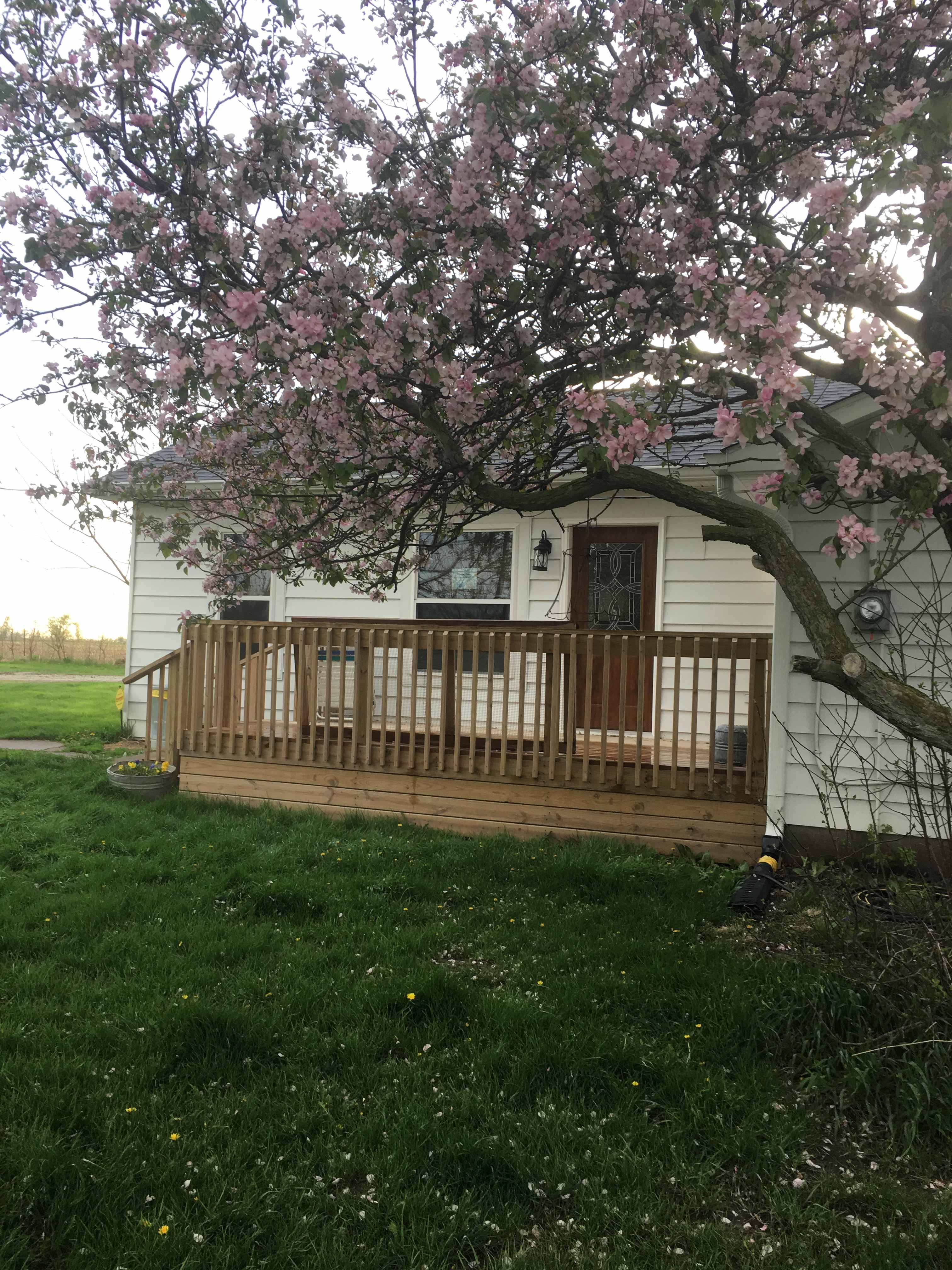 Private entry to cottage. 
