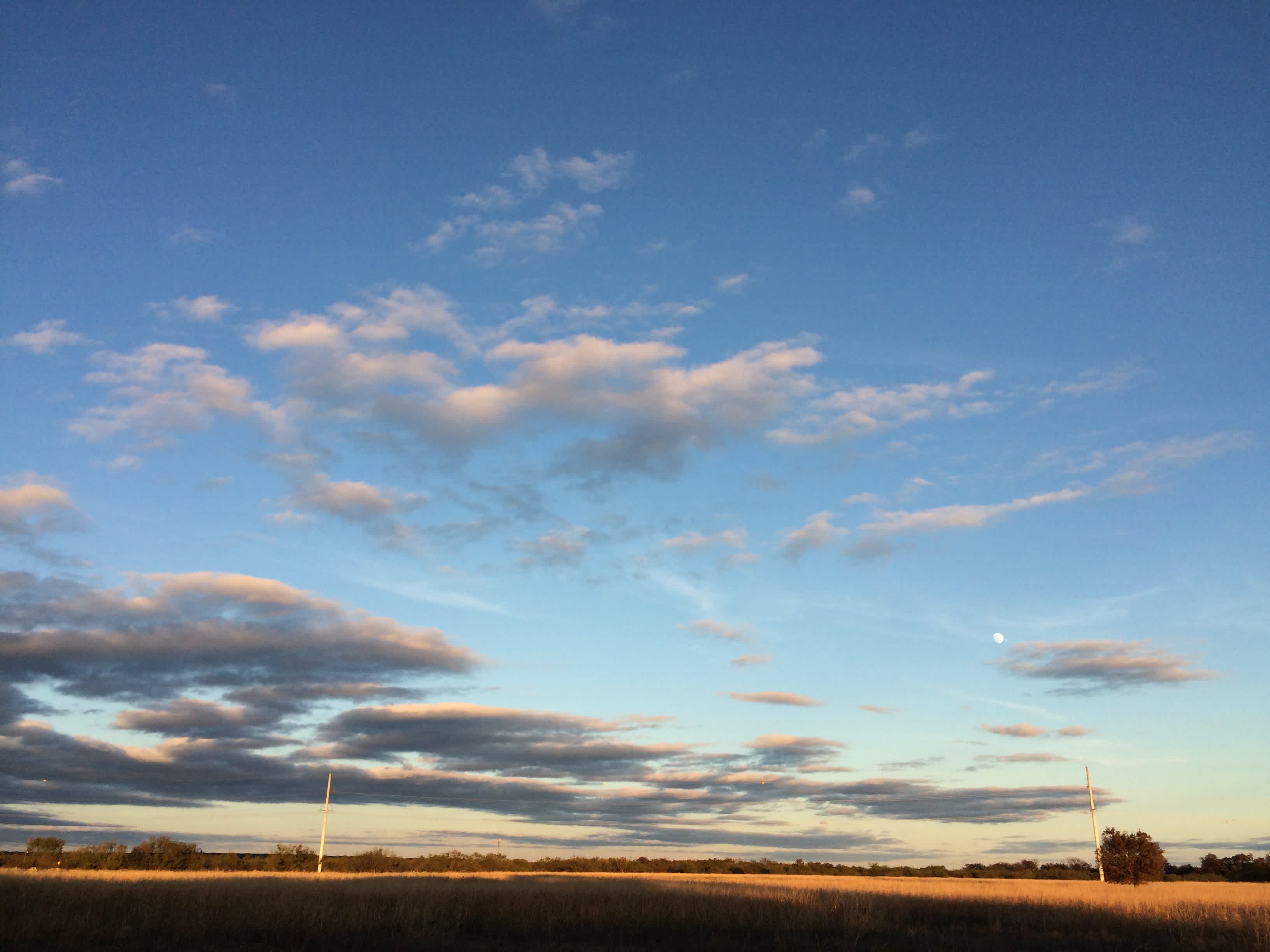 Low Gear Farmstead