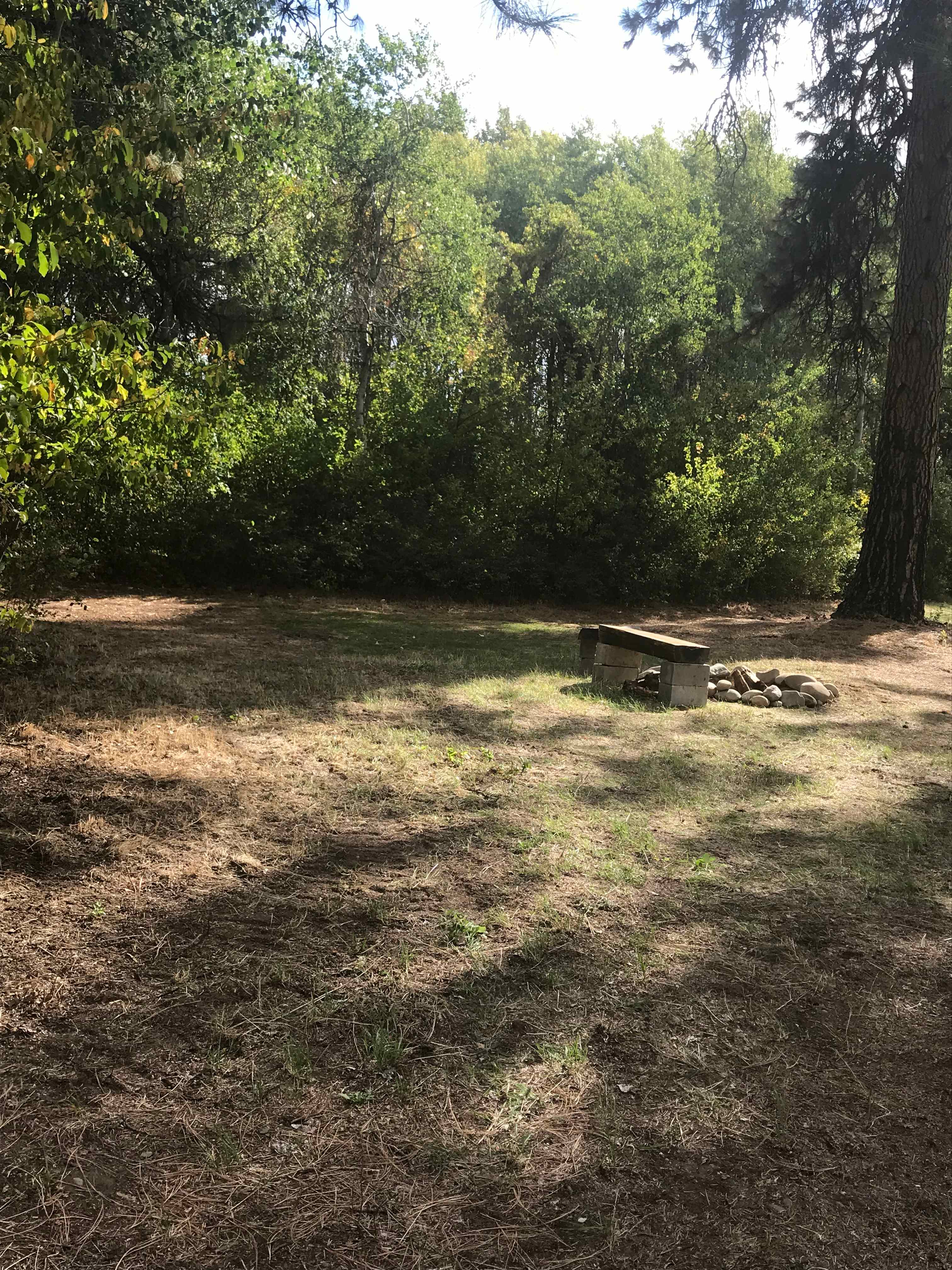 Large campsite in meadow