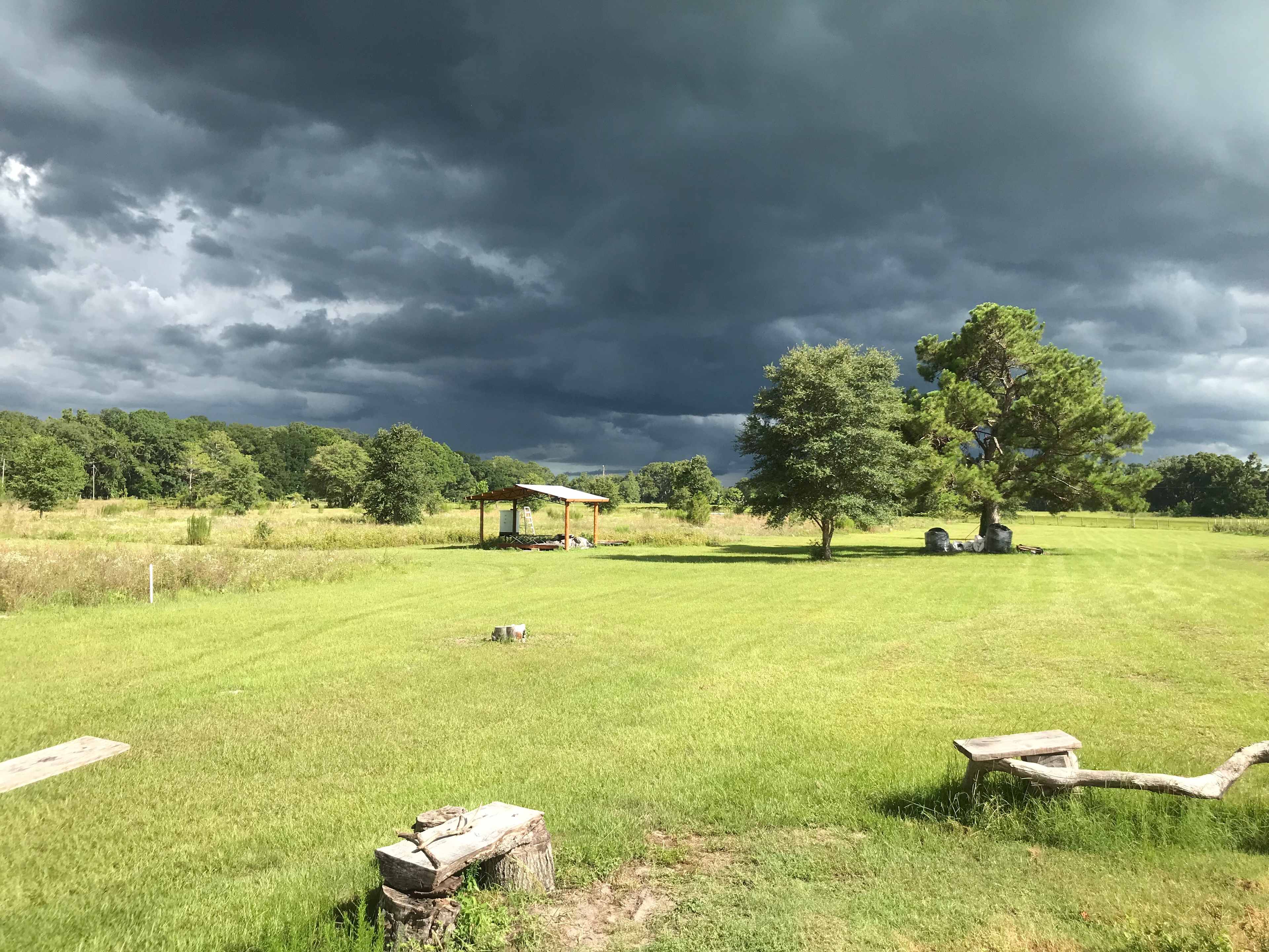 View of camp site field and outhouse currently under construction. 
