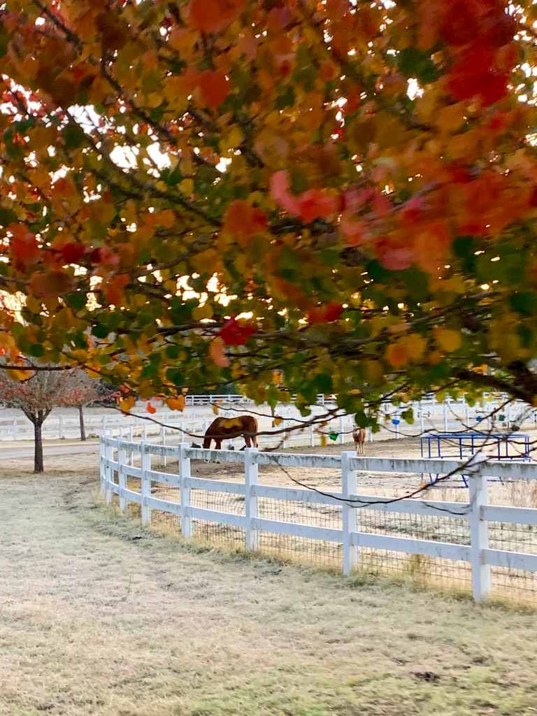 HomeAway Ranch & Wildlife Preserve