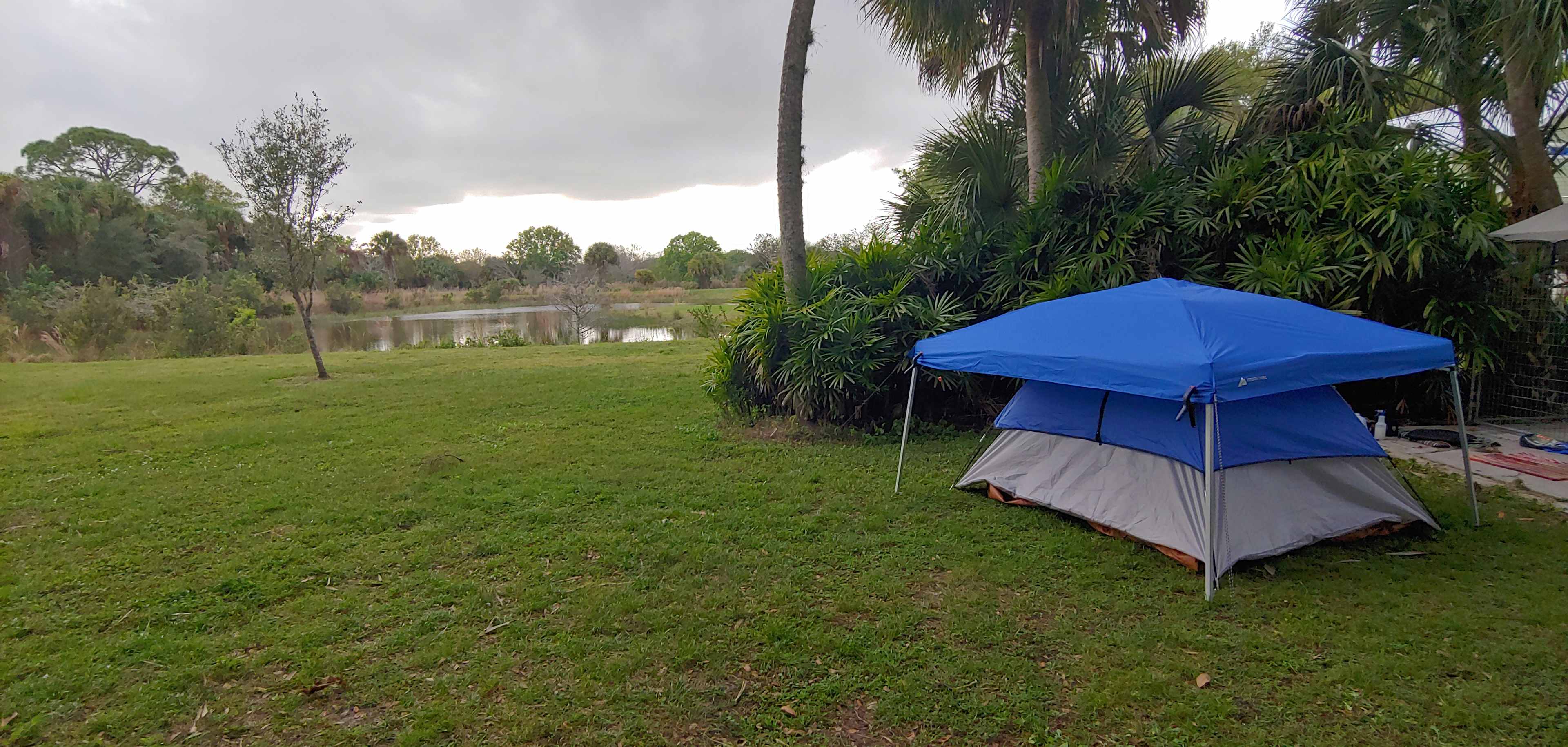 My VIEW of the pond...