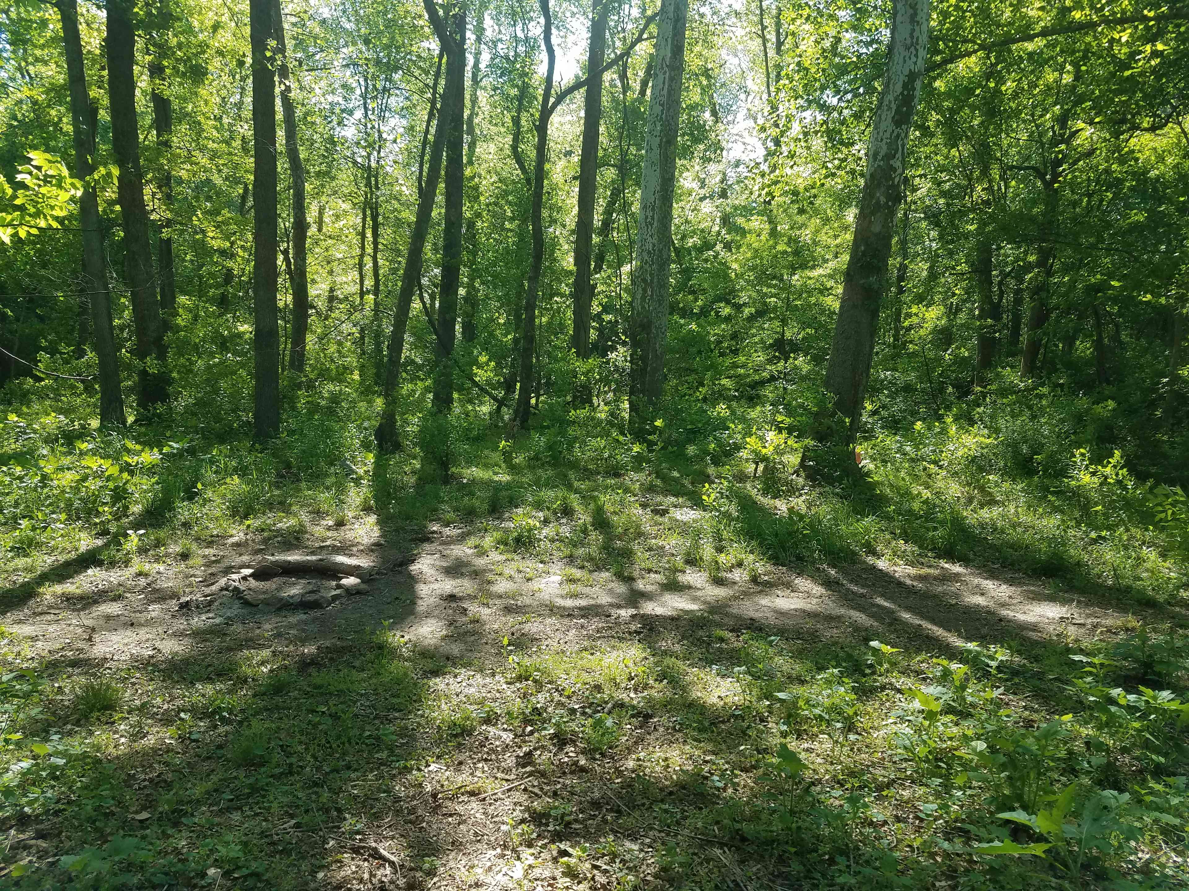 back country site 4
