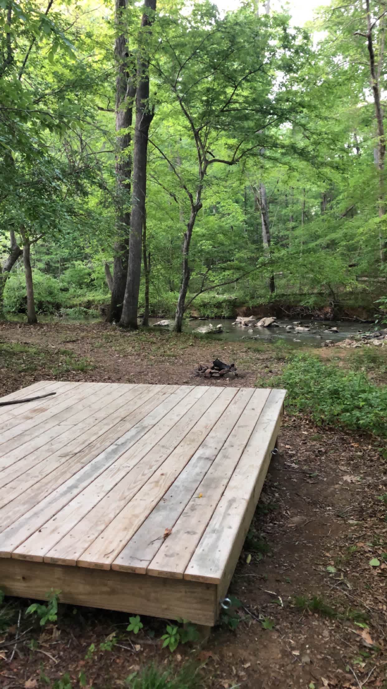 Rare, Watershed Forest - Piedmont