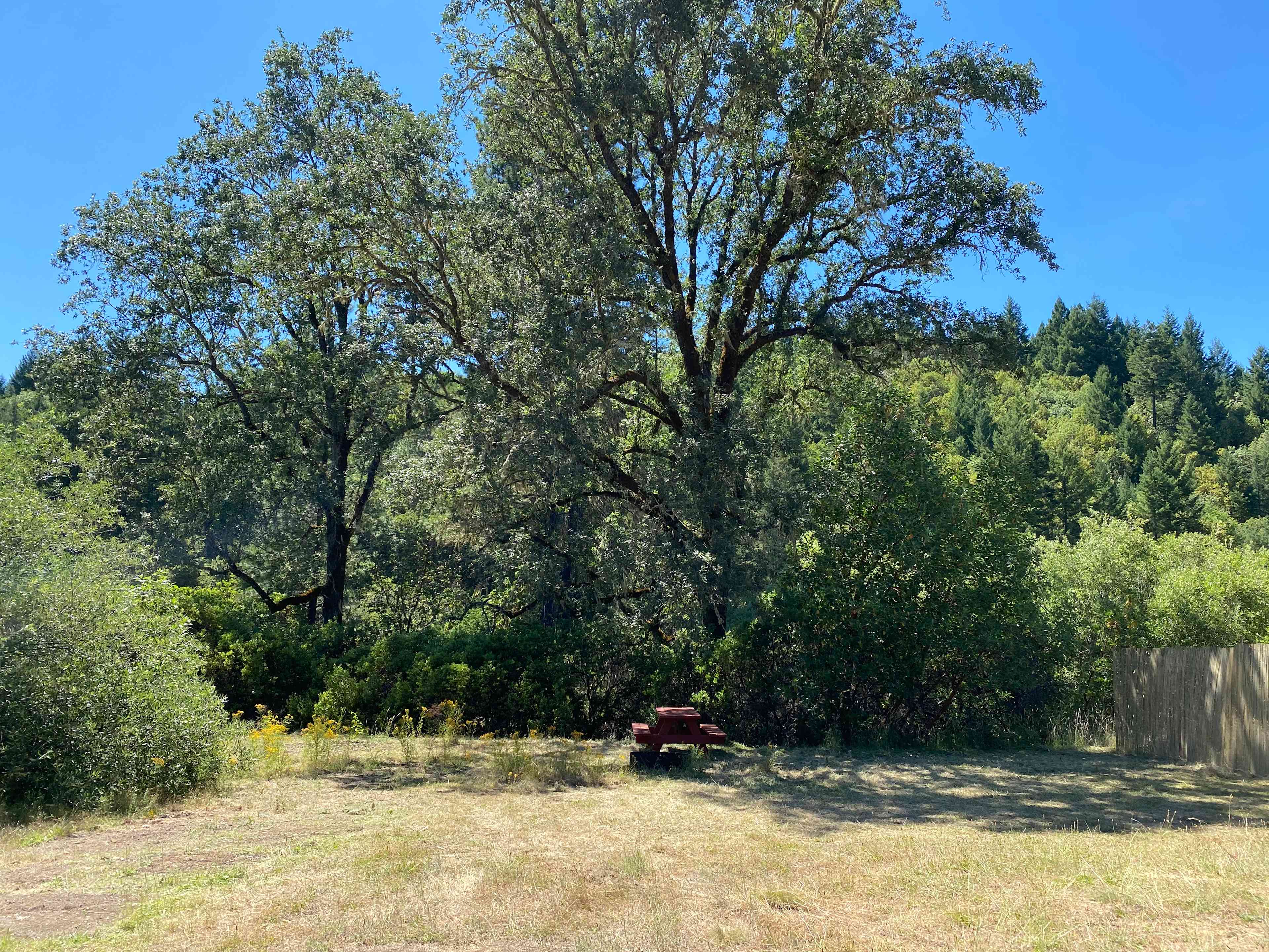 Plateau camp is quiet and spacious; 3 minute walk to creek