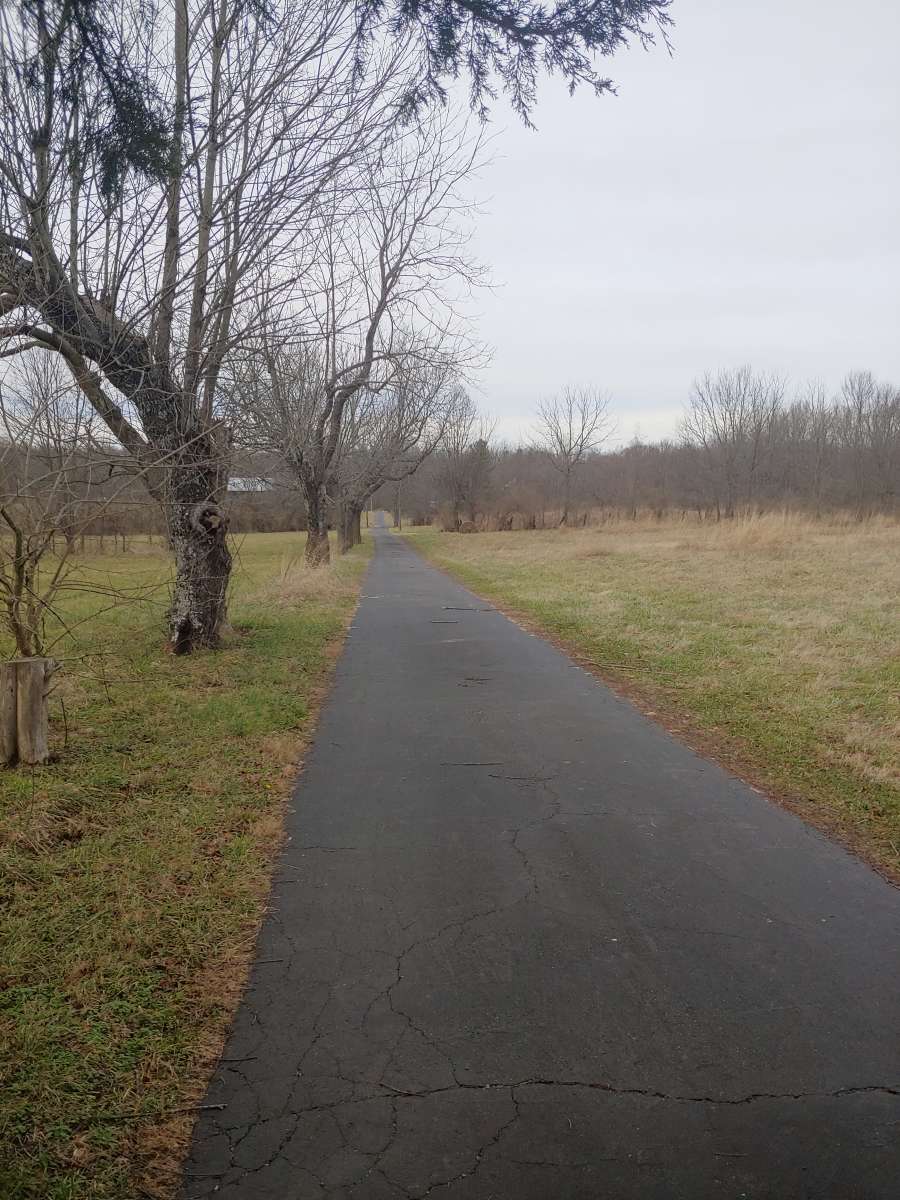 Quarter mile driveway. 