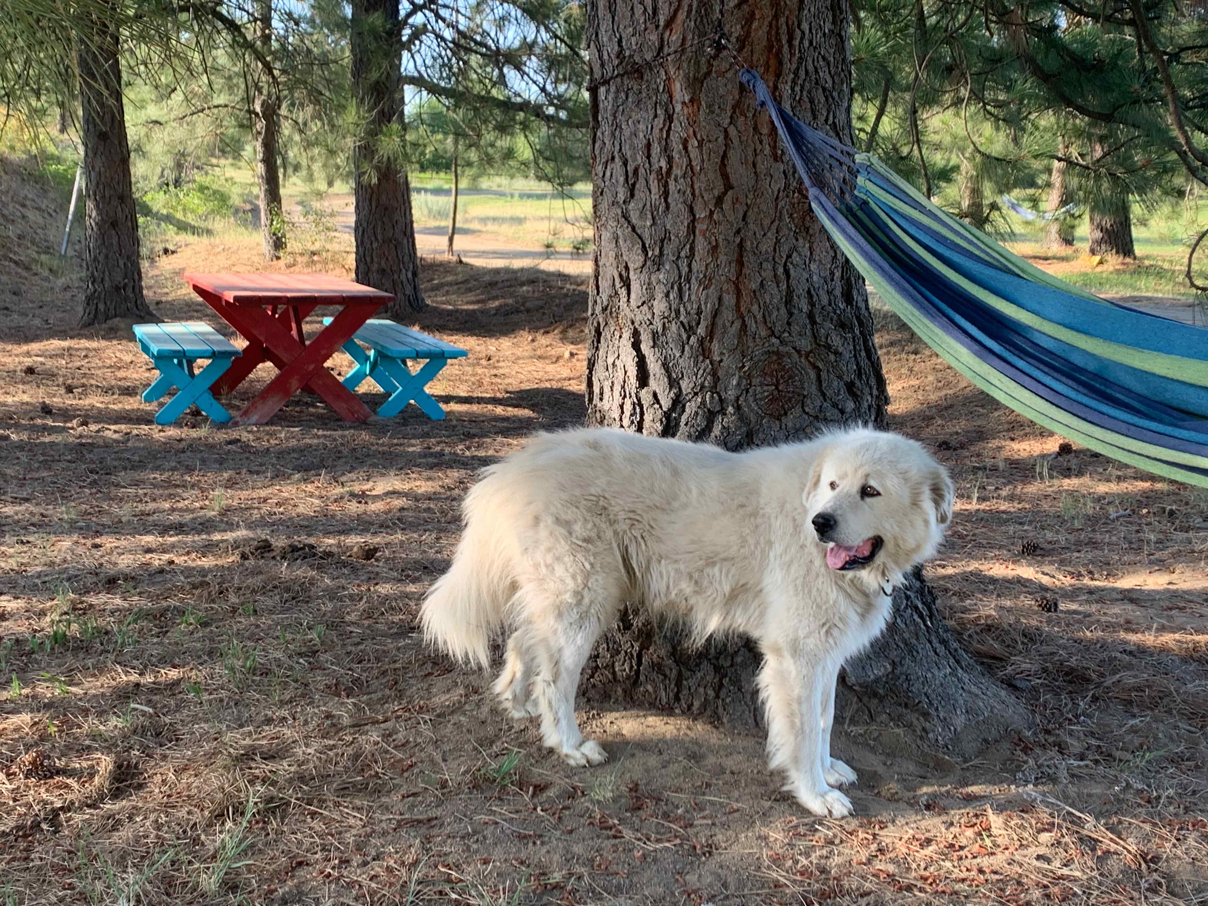 Campsite 2