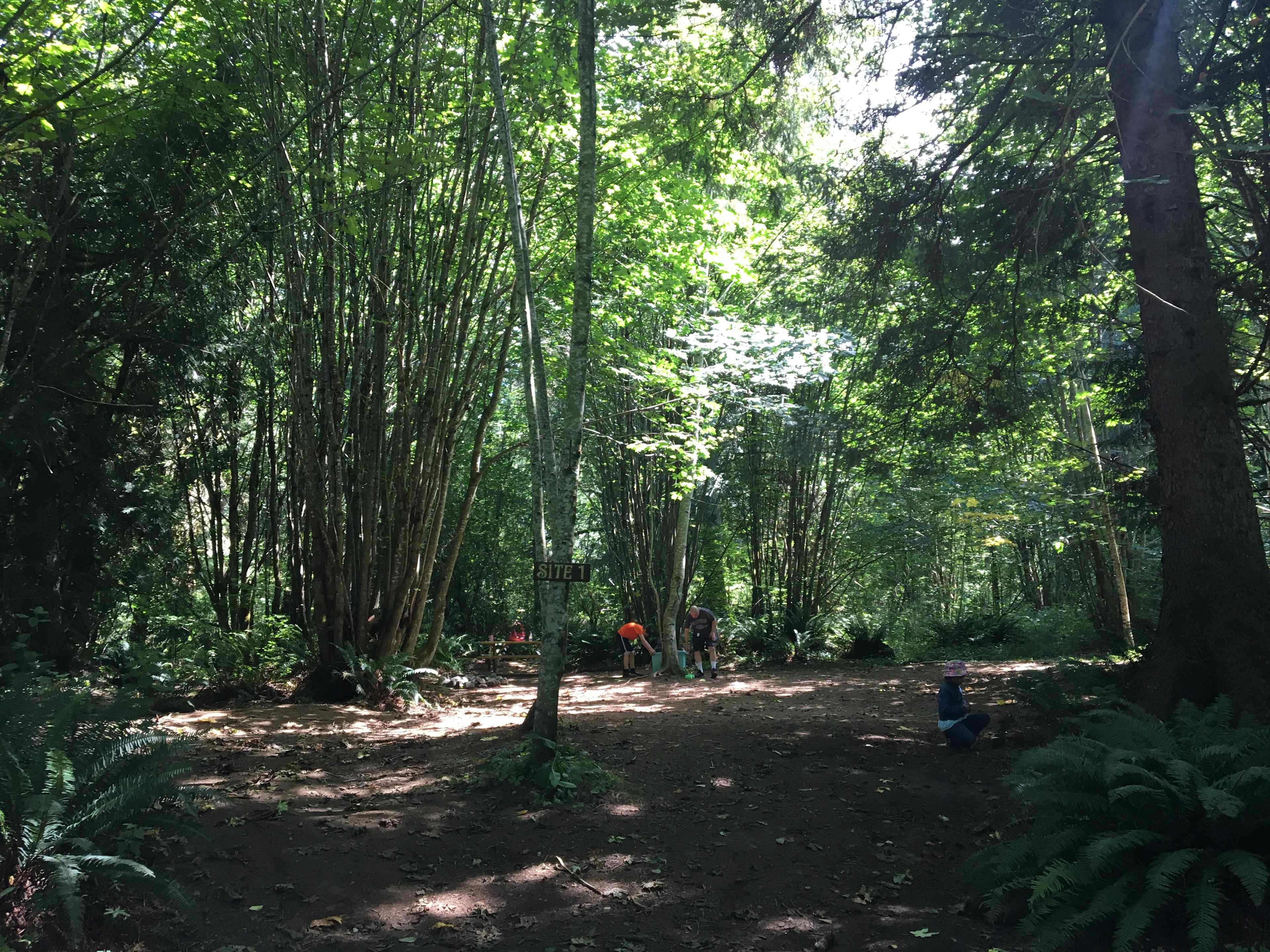 Site 1 is big with lots of open, flat area! Big enough to pitch a few tents and still throw around a football. Surrounded by trees and mostly/fully shaded.