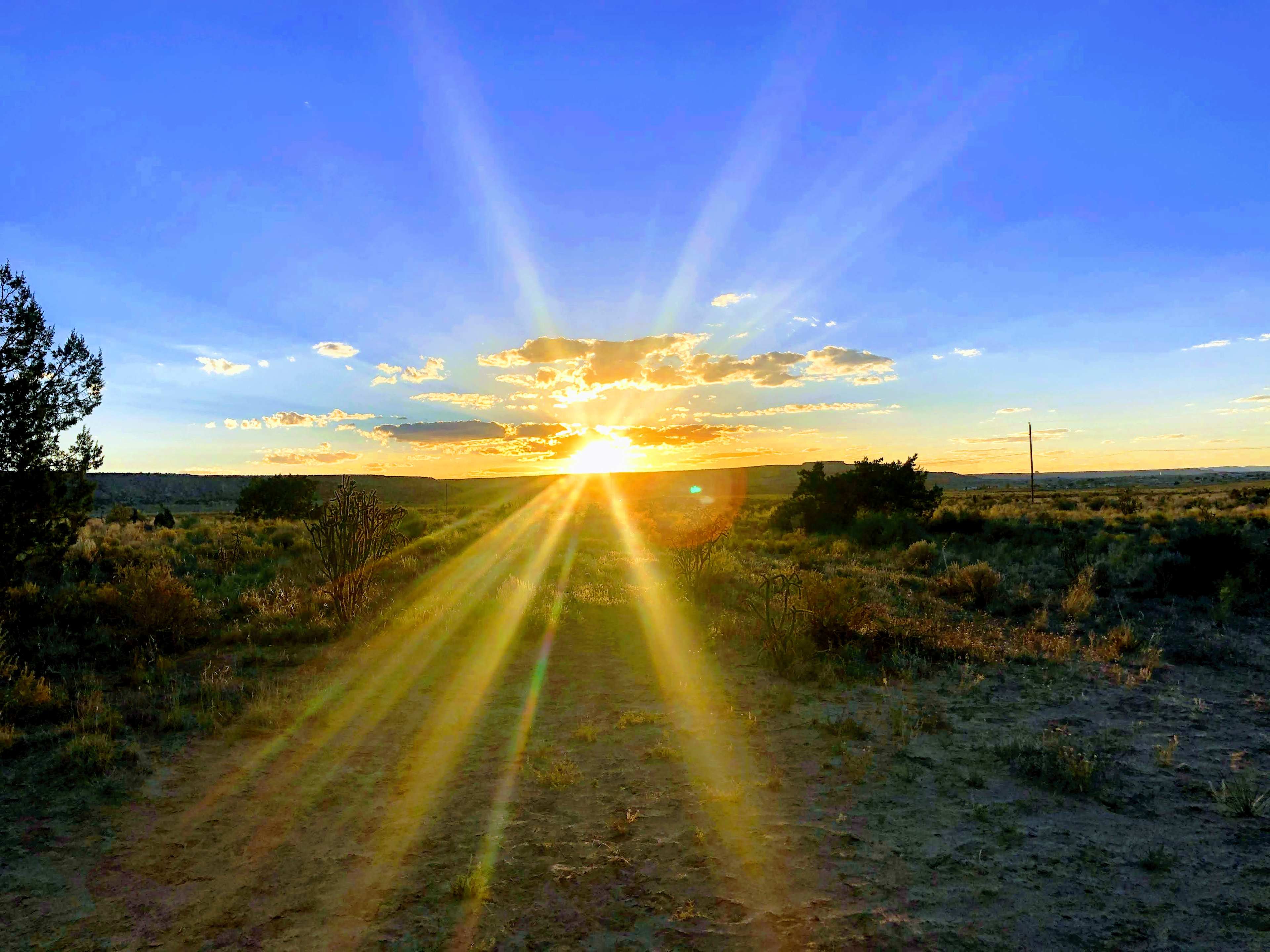Star Gazer Ranch
