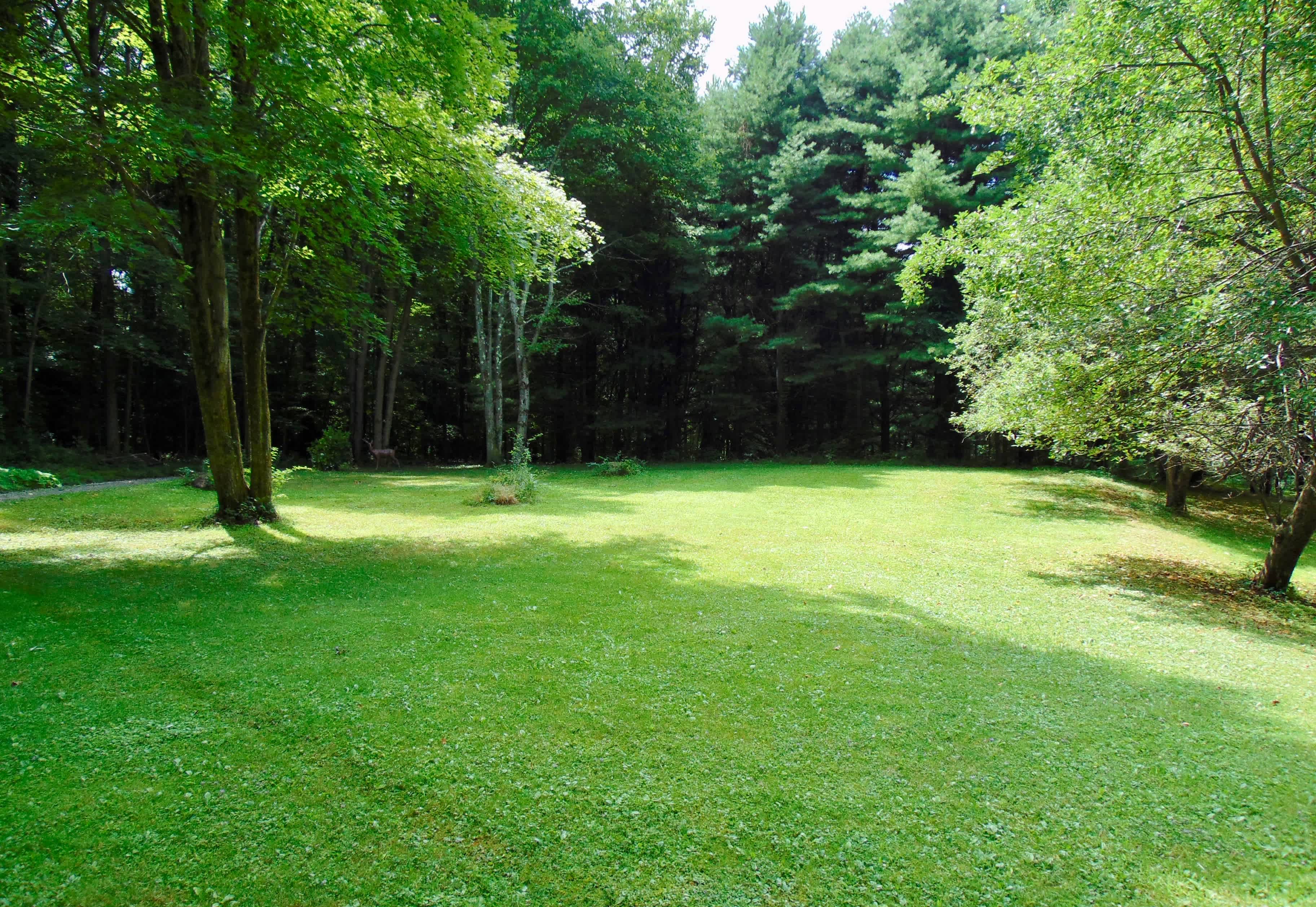 The camping area is sort of L shaped.  This is the west side and is about 90' by 60'.  It is more shaded.