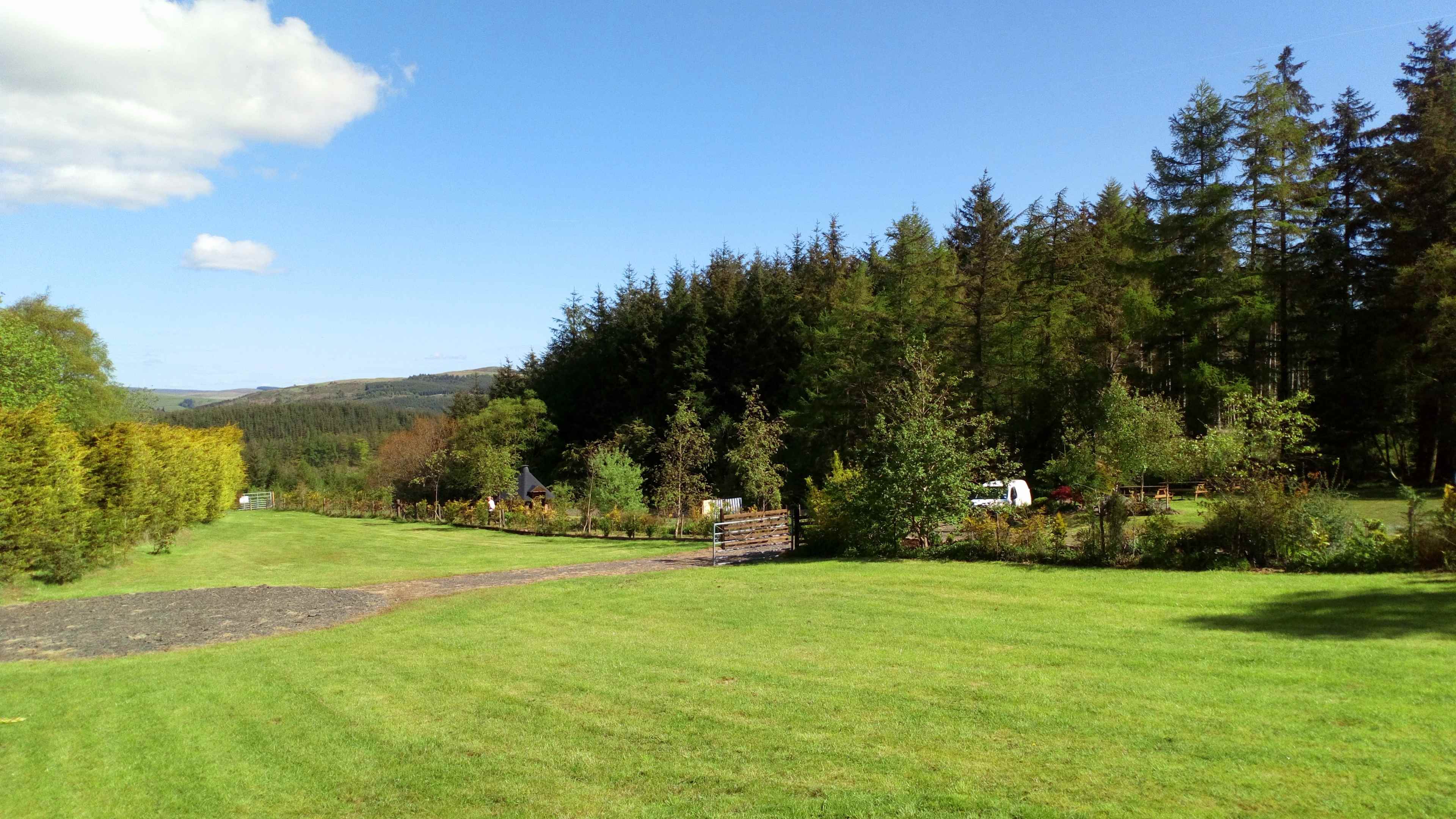 Camping Field