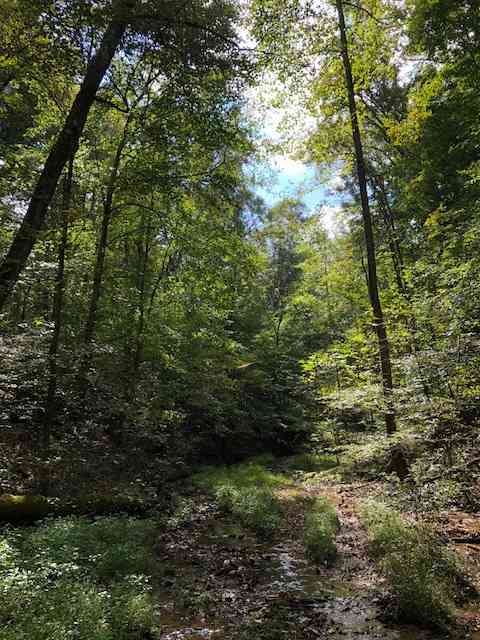 Barren River Magic
