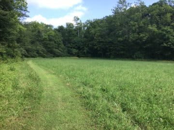 Coop Dreams Farm