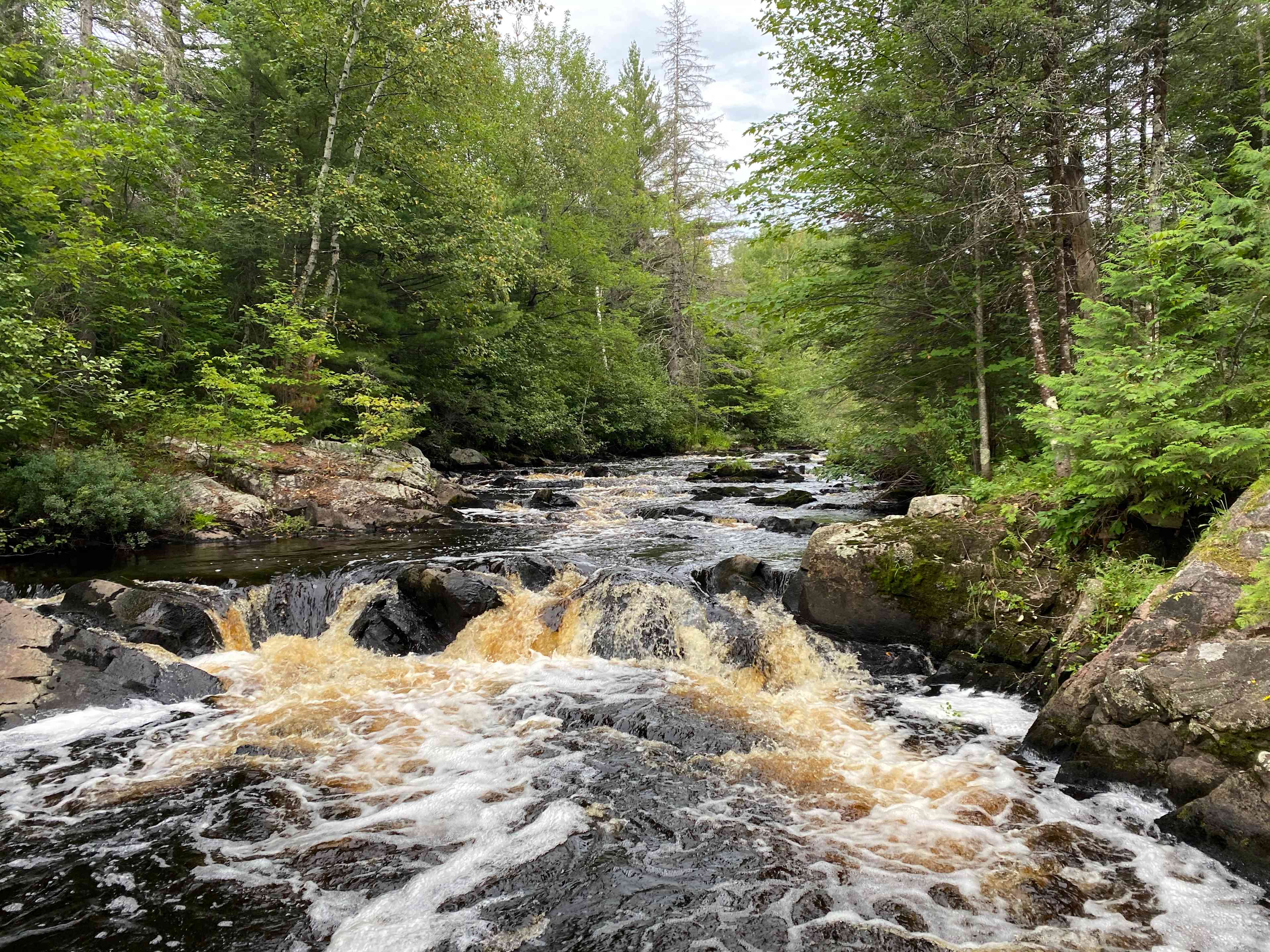 Bad River Wilderness