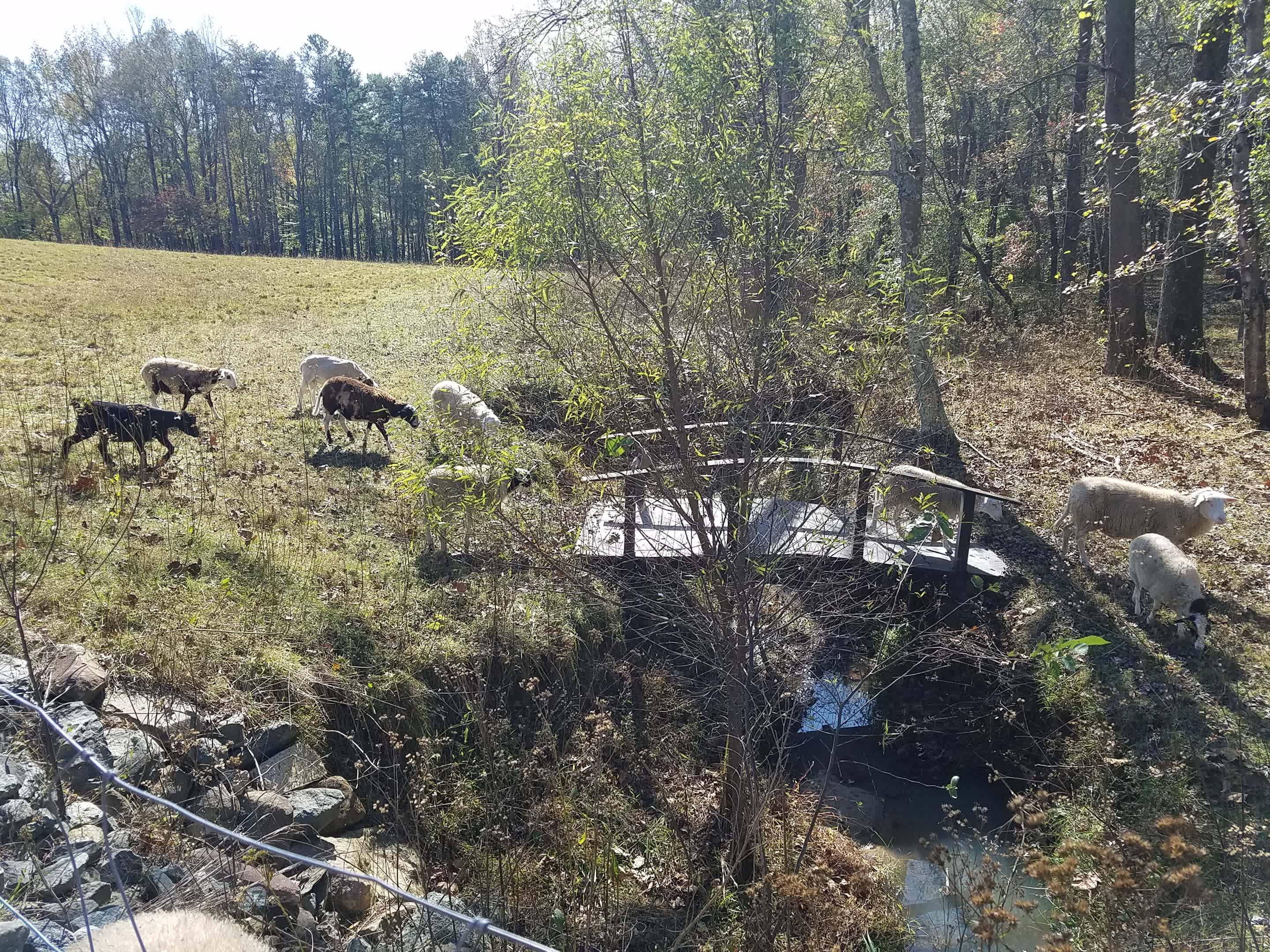 Brookhaven Mill Farm