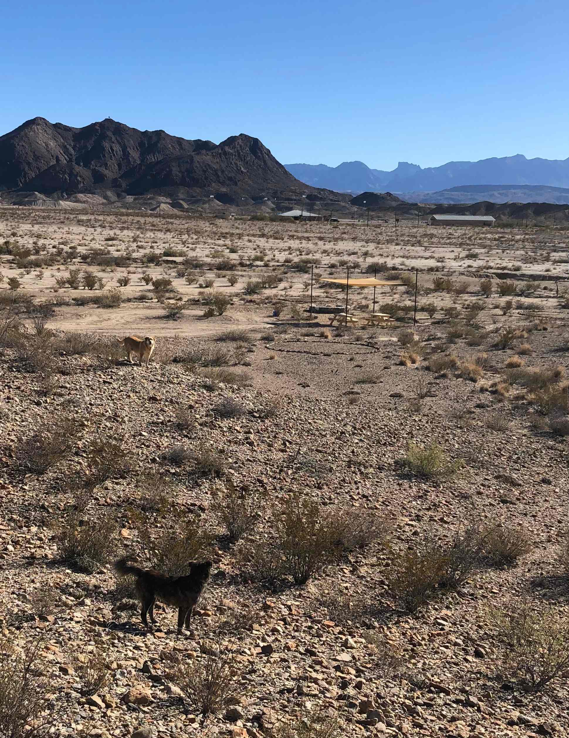 Private and secluded with great views of the Chisos