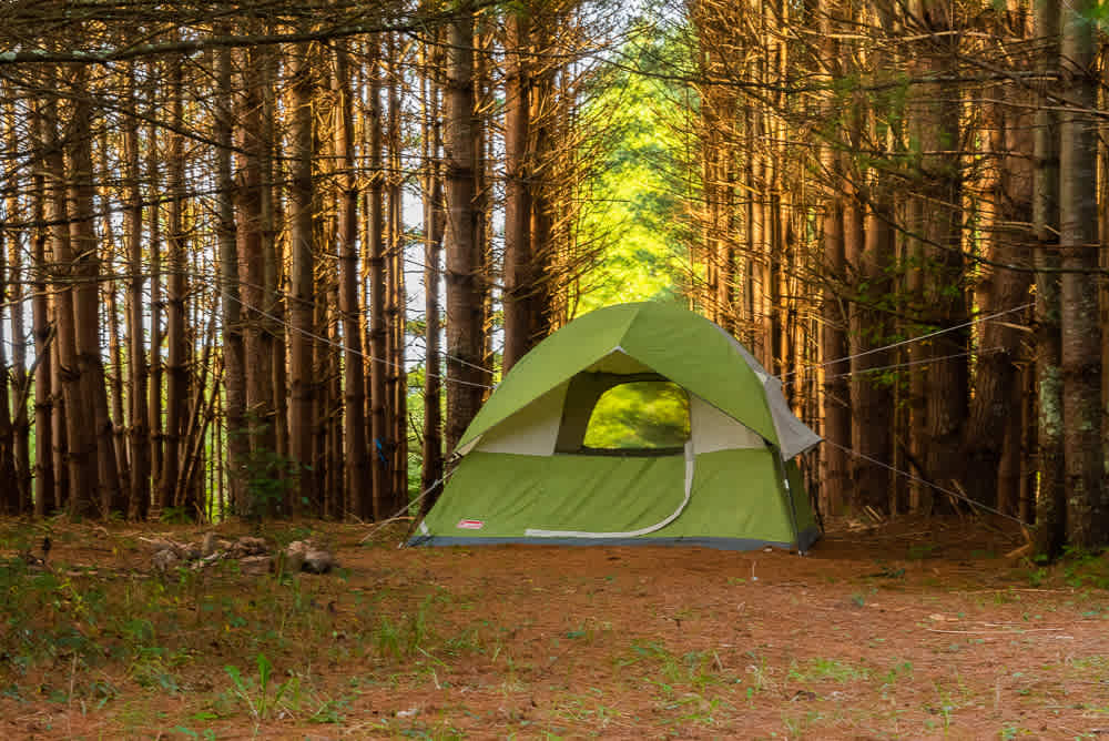 Hammock’Sway Off Grid Private Camp